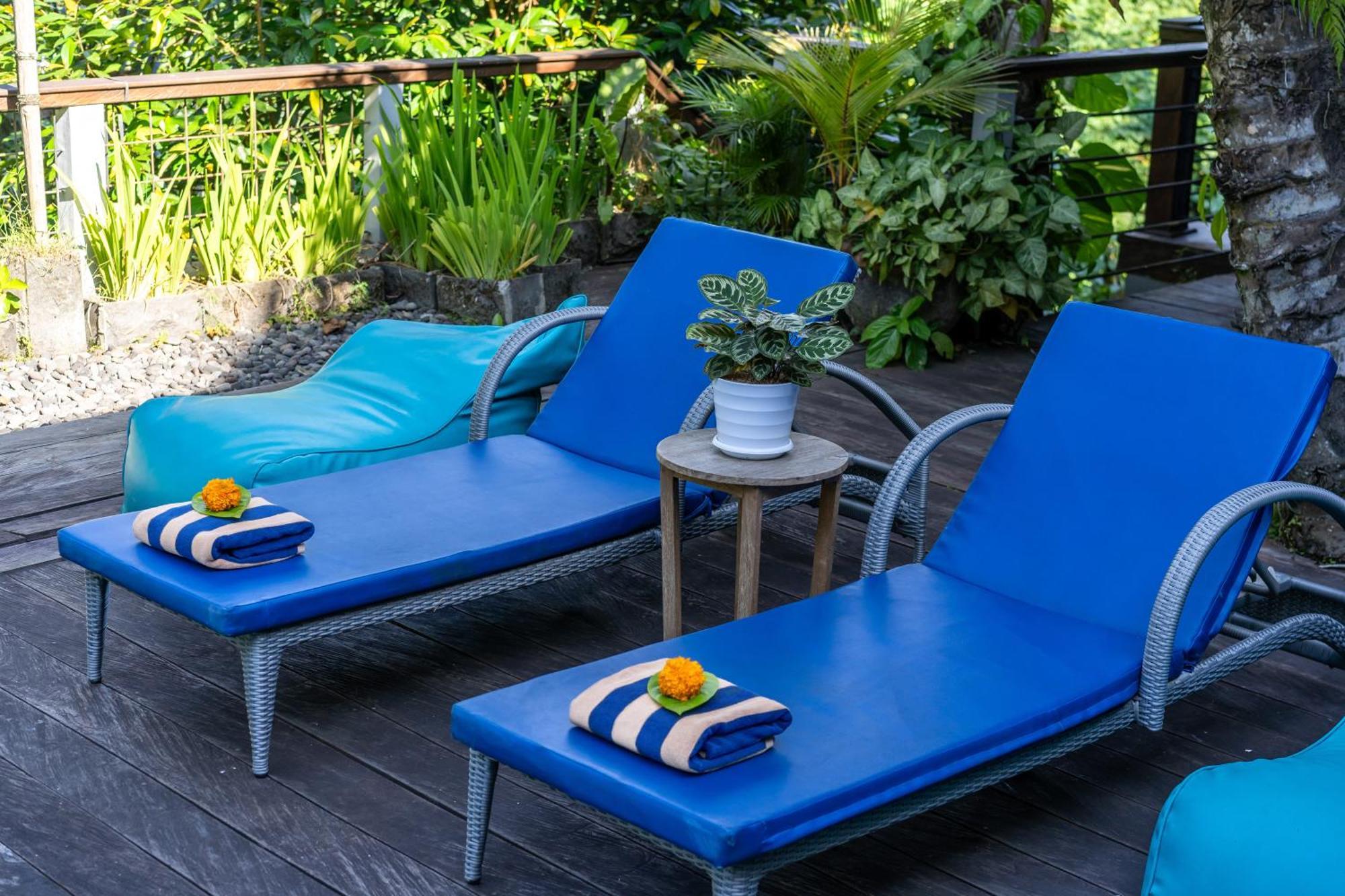 Bed & Breakfast Parvati Retreat 3*