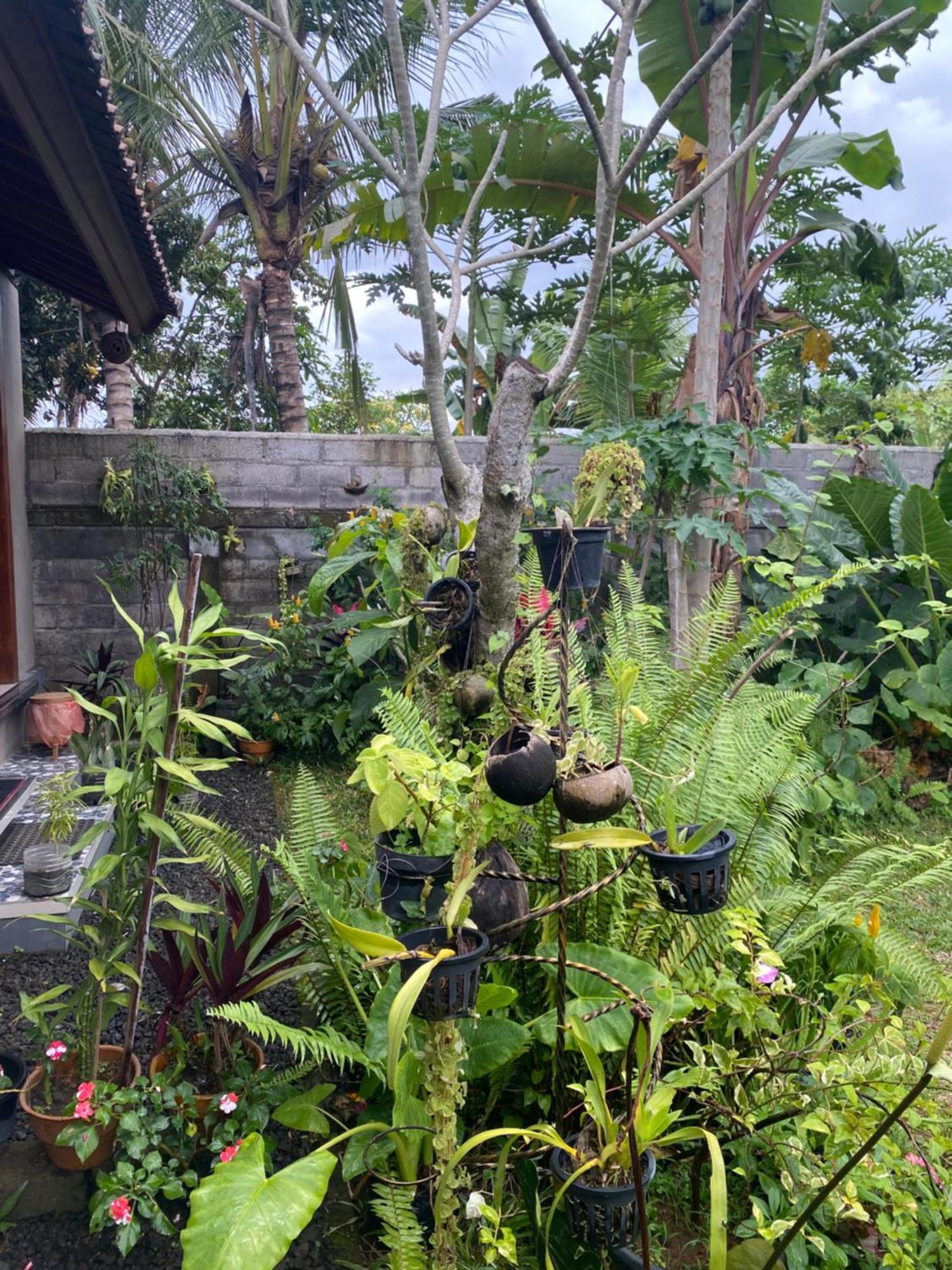 Bali Asli By Eps Ubud (Bali)