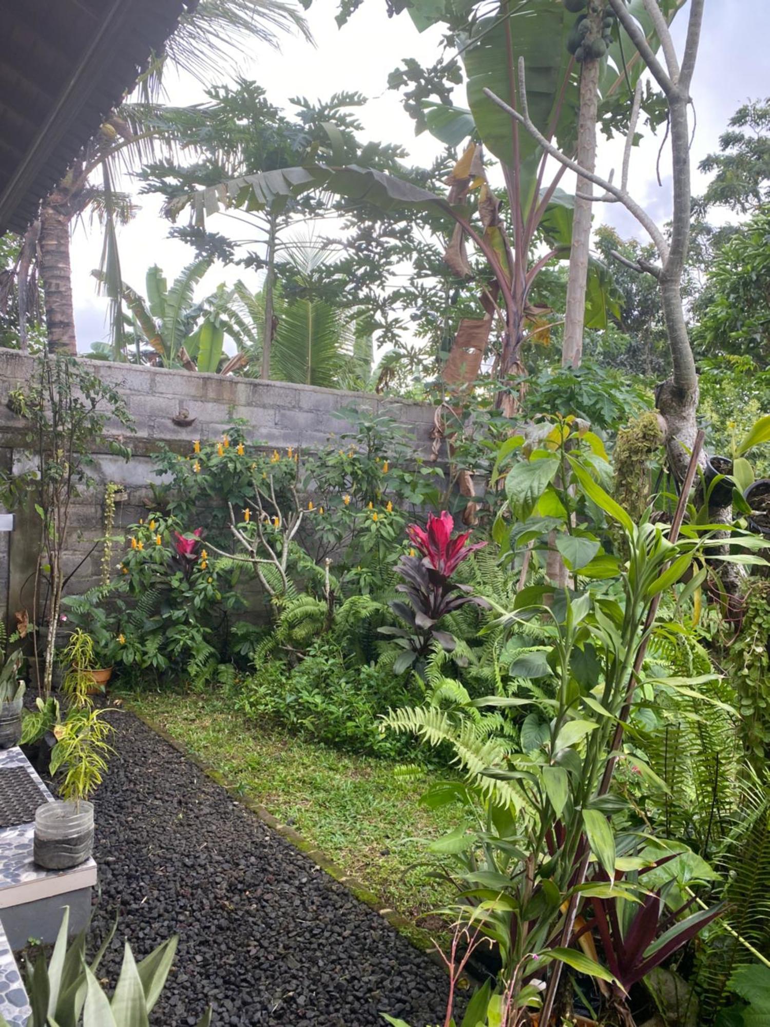 Guest house Bali Asli By Eps 3*