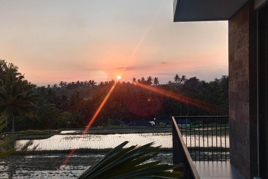 Rice View Villa *