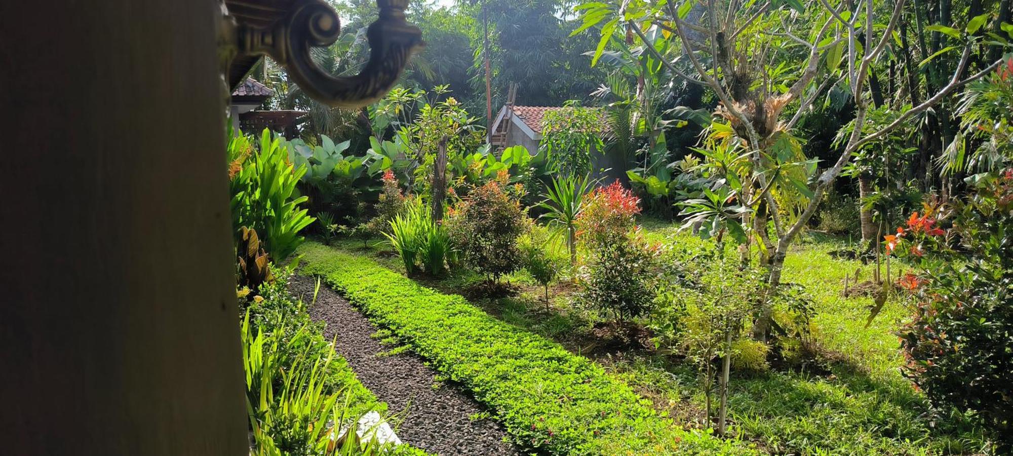Tanggu Ubud (Bali)