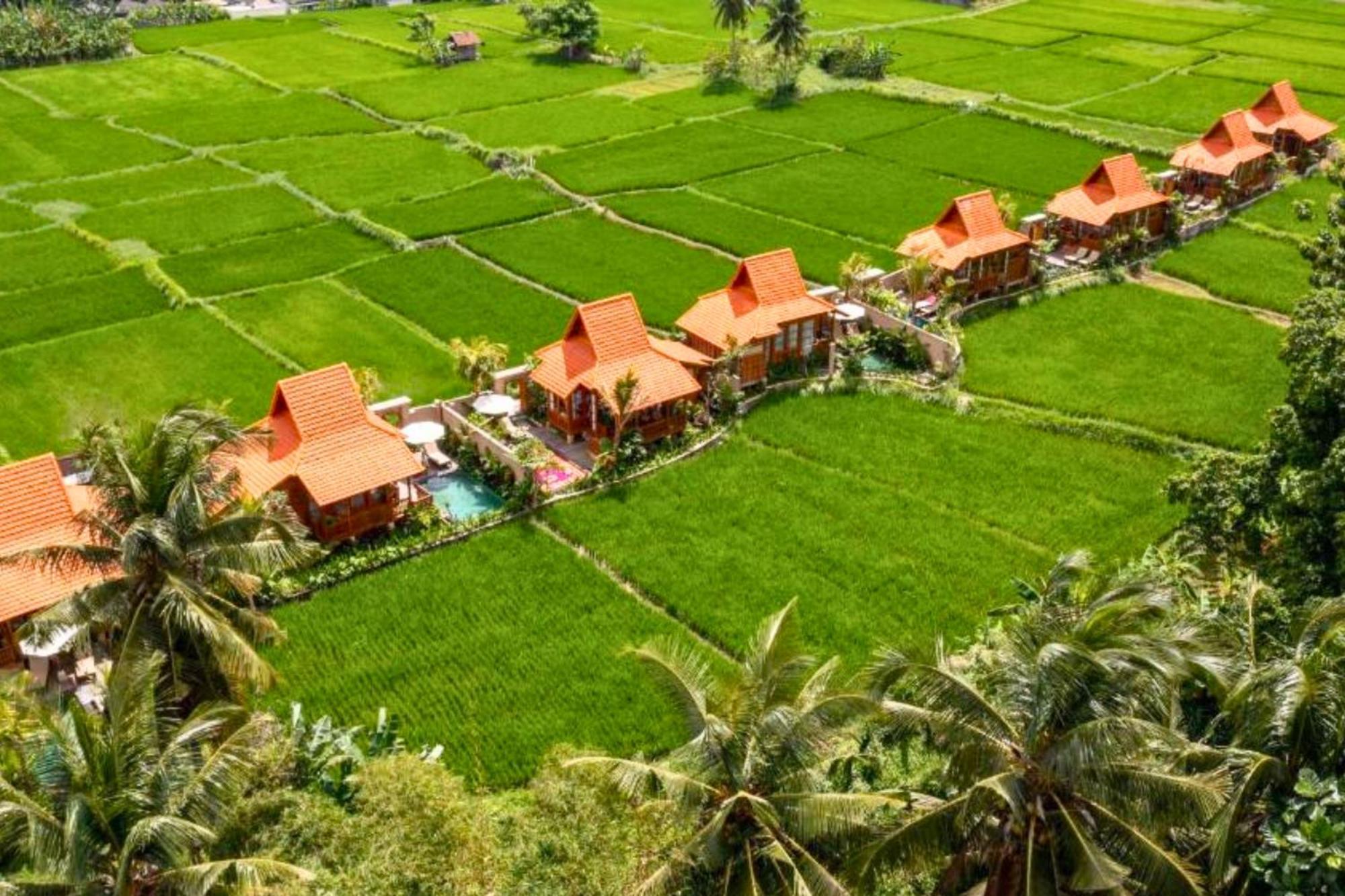 Prameswara 1 Bedroom Wooden Private Pool Zn178 Villa Ubud (Bali)