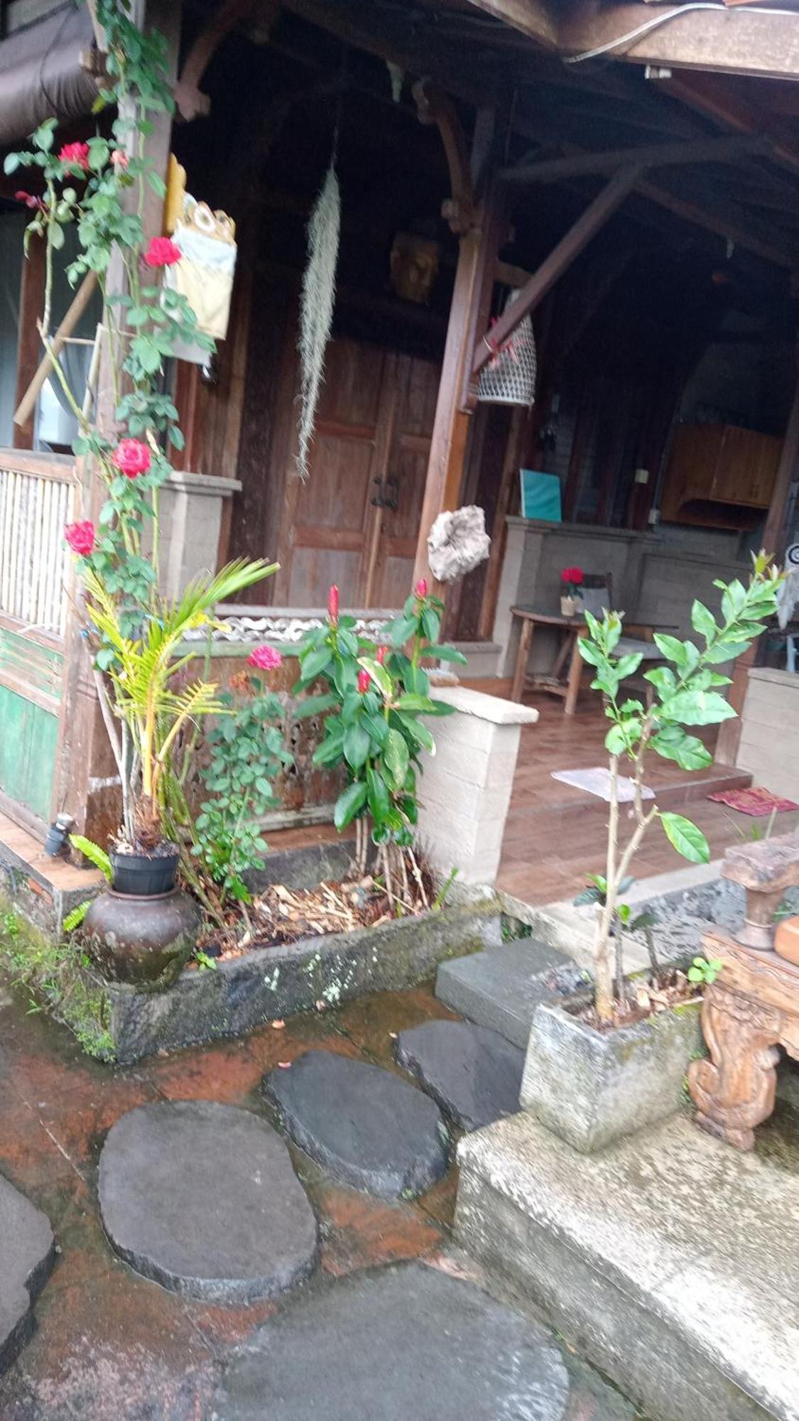 Joglo House Nagi * Ubud (Bali)