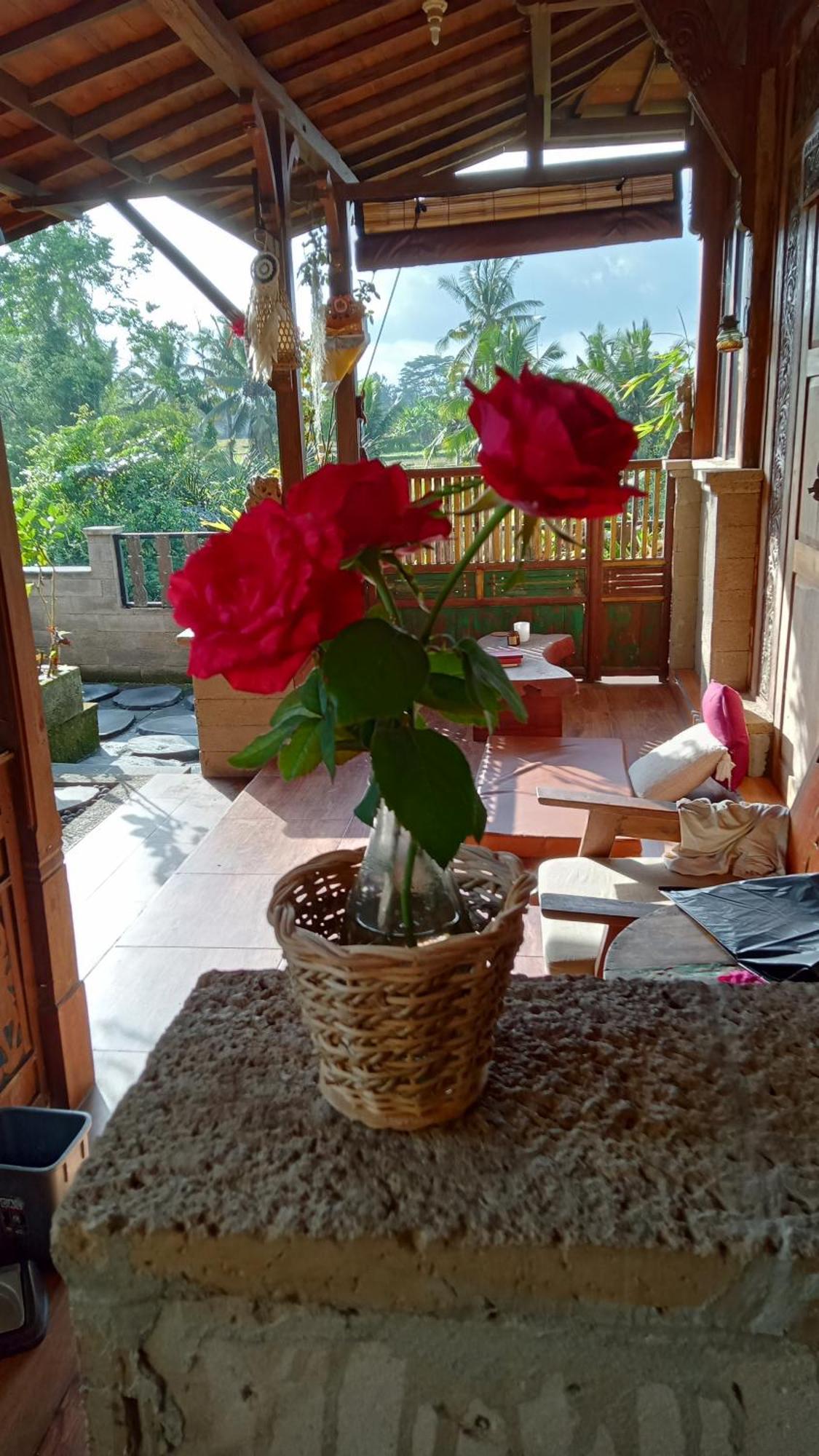 Joglo House Nagi Ubud (Bali)
