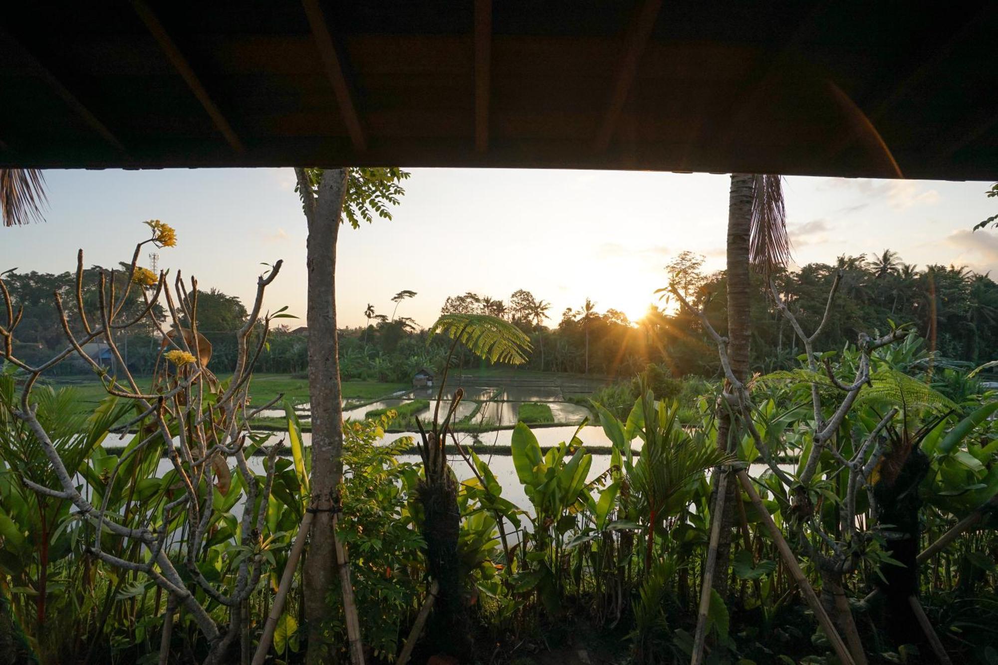 Art Vakantiepark 4*