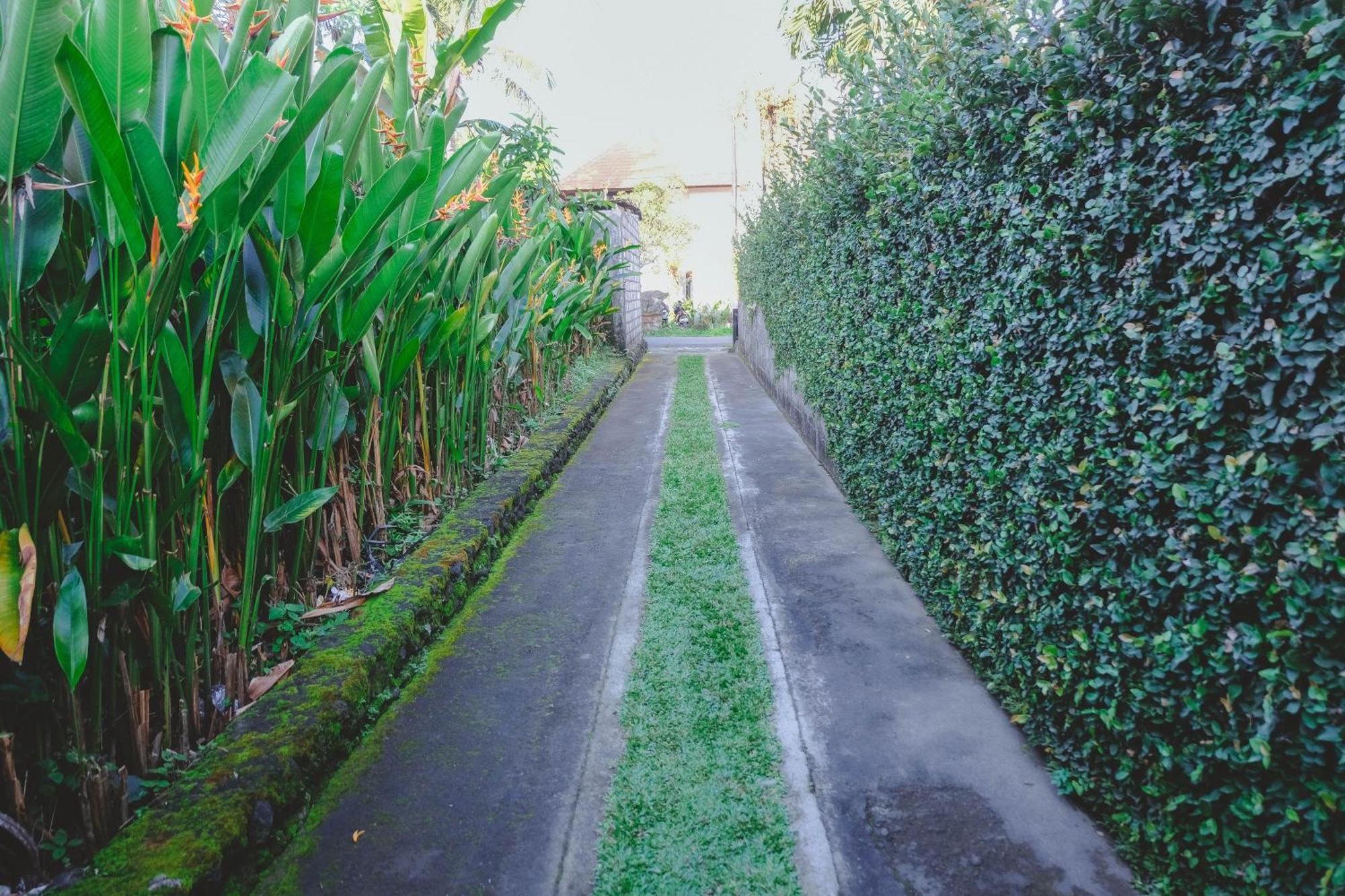 D'sila House * Ubud