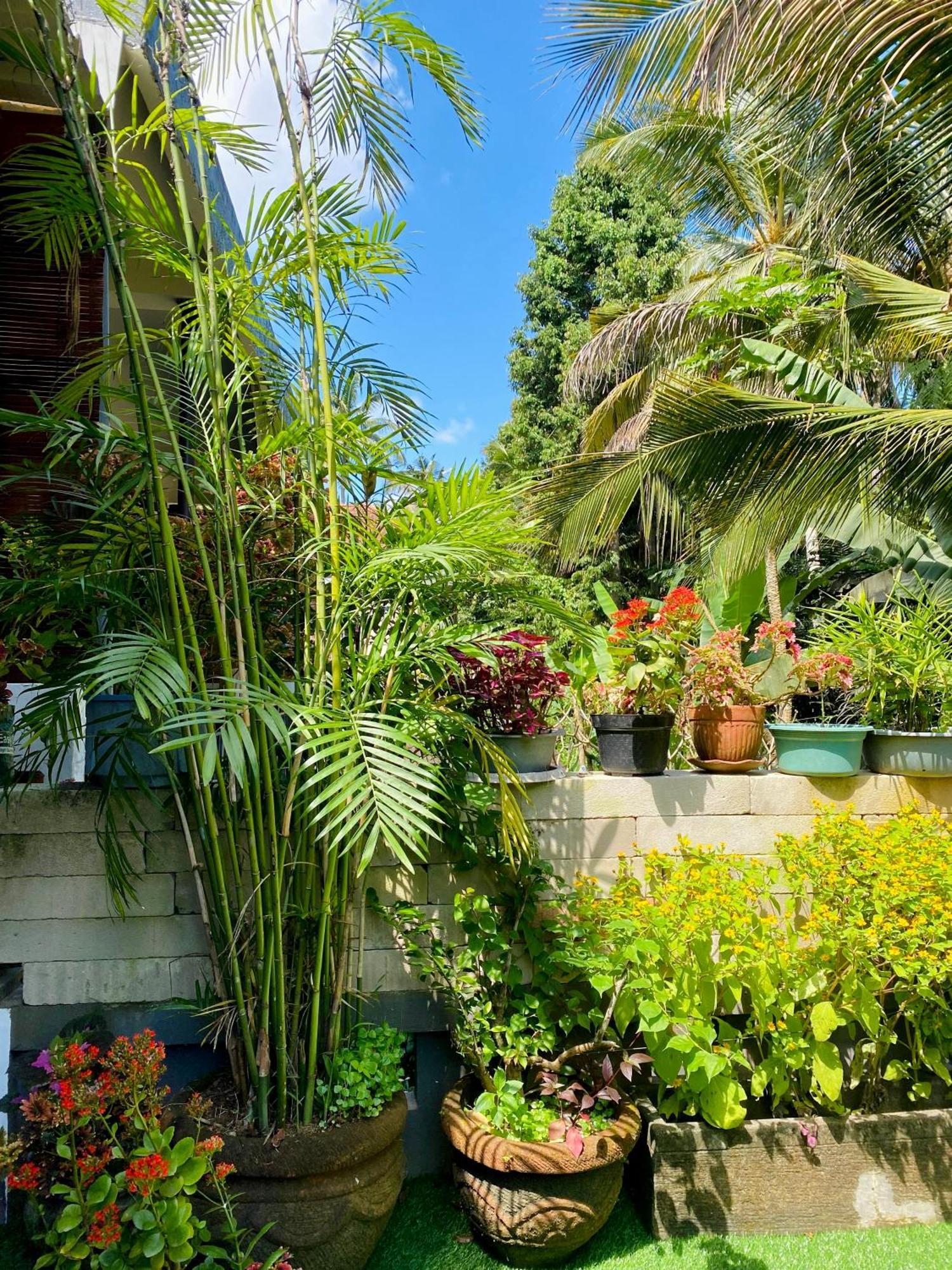 1br Sayan,ubud Apartment Ubud (Bali)