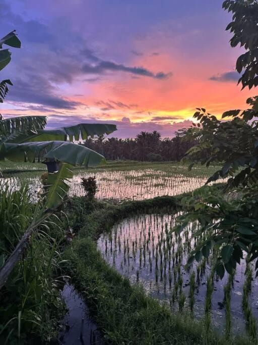 Dwa Chandra Full-service 5br In Nature Sanctuary Villa *