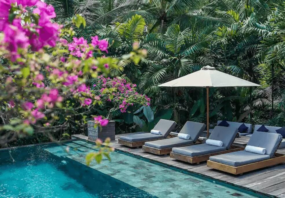 Dwa Chandra Full-service 5br In Nature Sanctuary