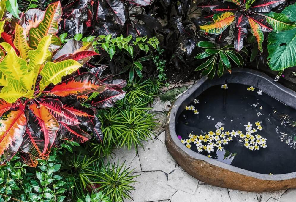Dwa Chandra Full-service 5br In Nature Sanctuary * Ubud (Bali)