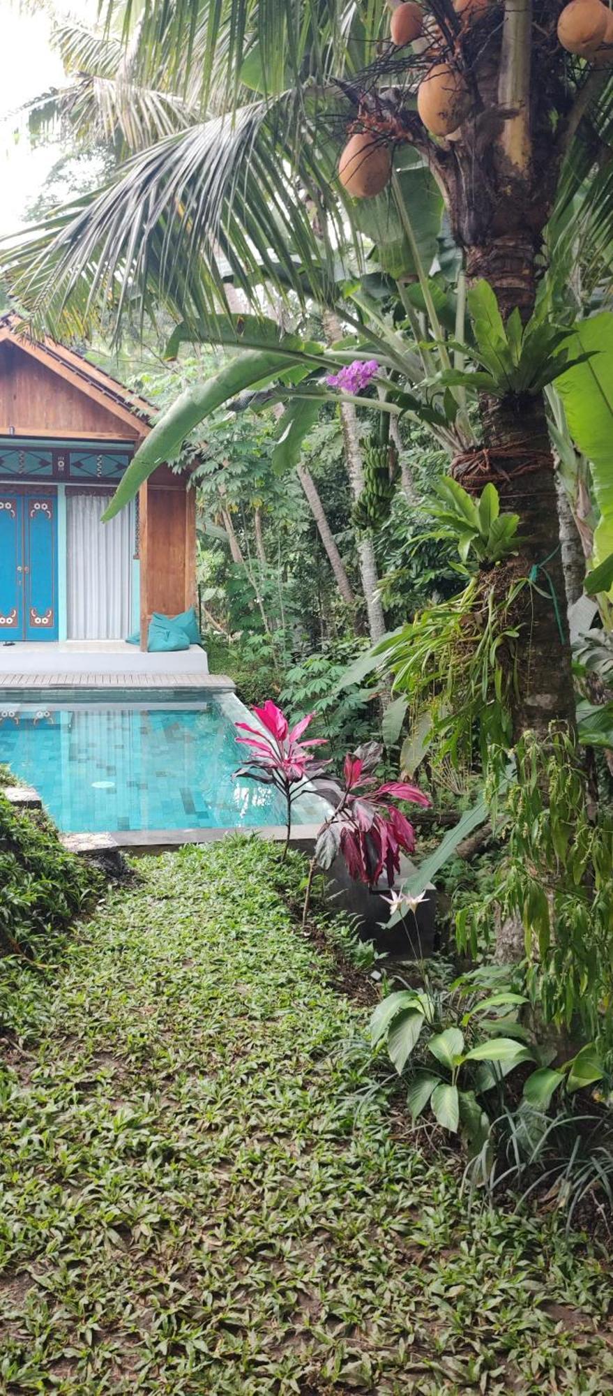 Lodge Rumah Guci Ubud
