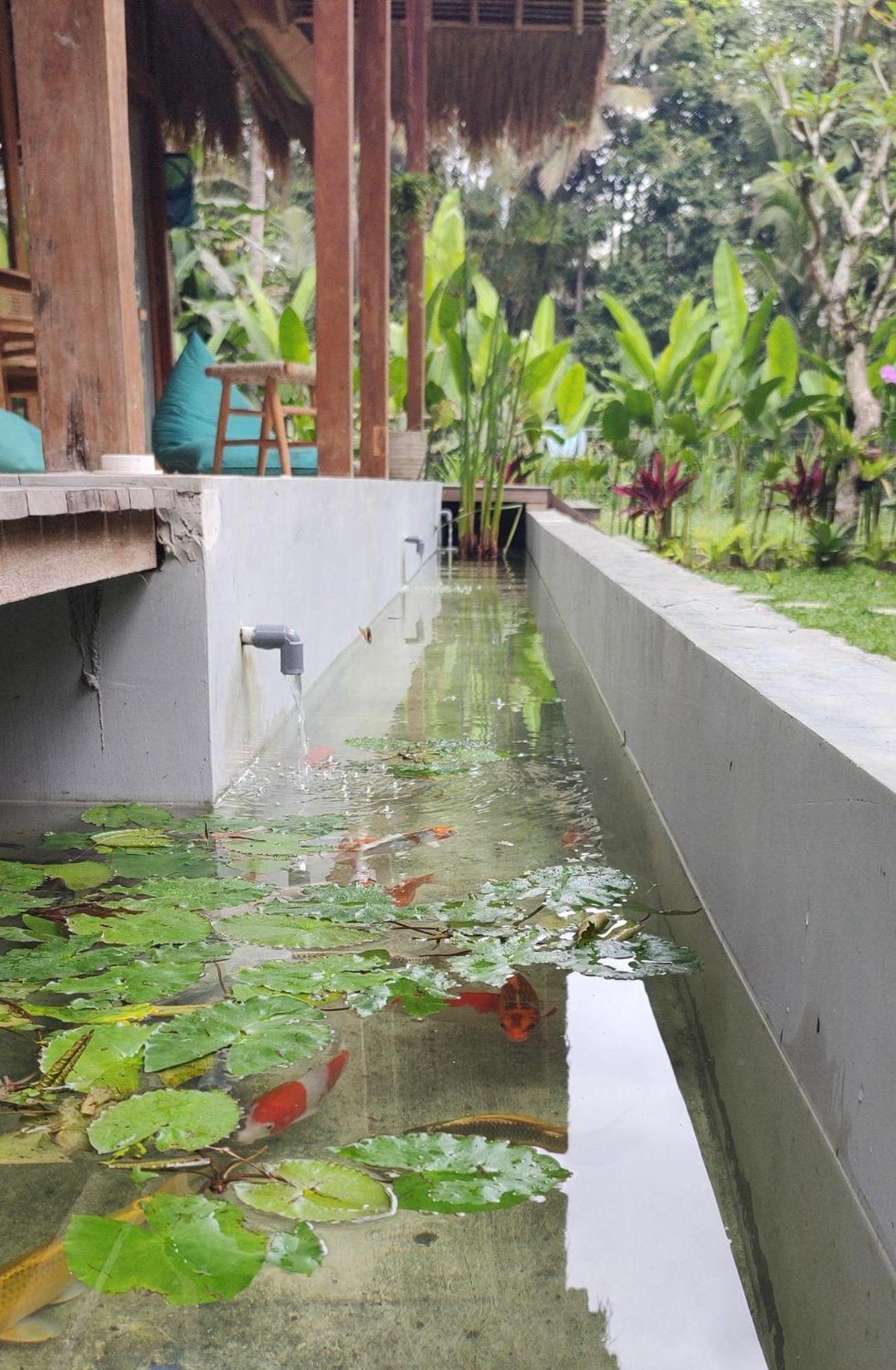 Rumah Guci Lodge