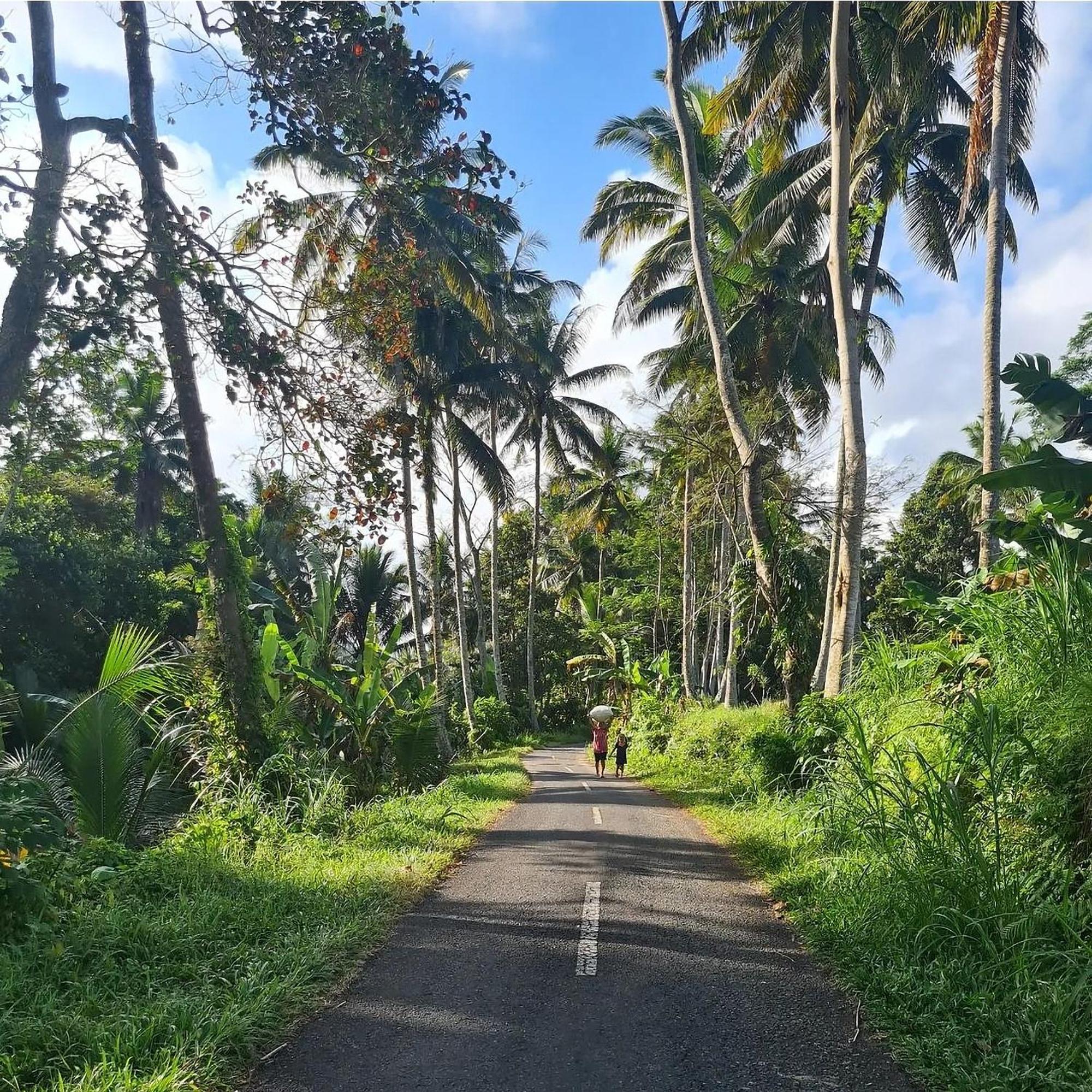 Rumah Guci * Ubud