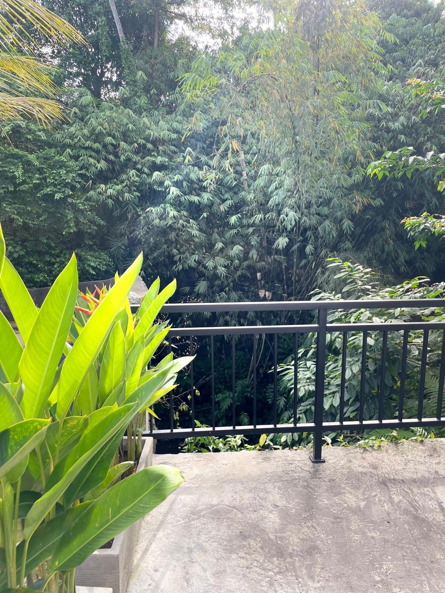 House Ubud (Bali)