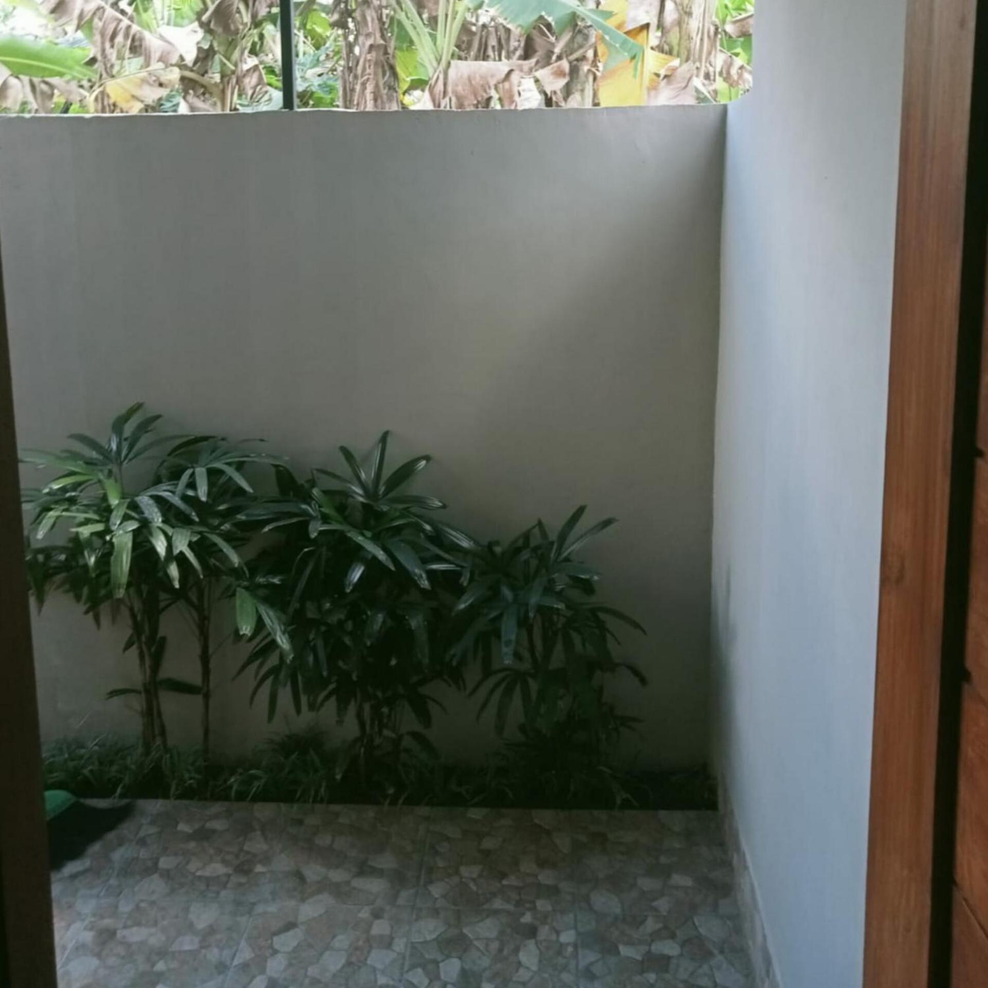 Win House Guest house *