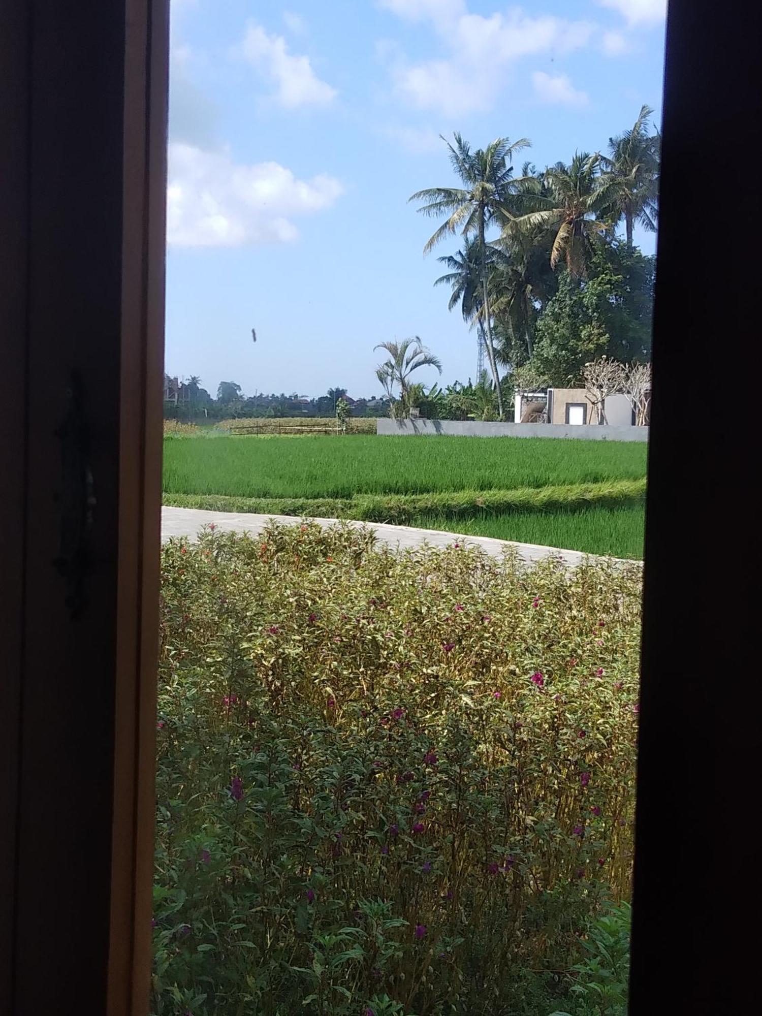 Mitra Village