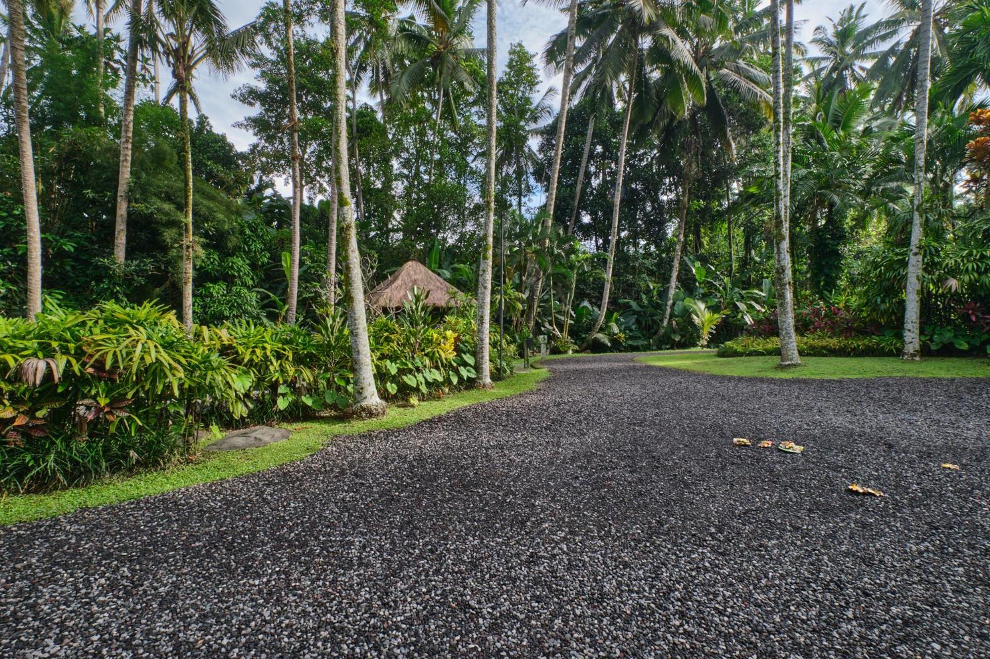 Balinese Antiques Single Level 3br In Villa