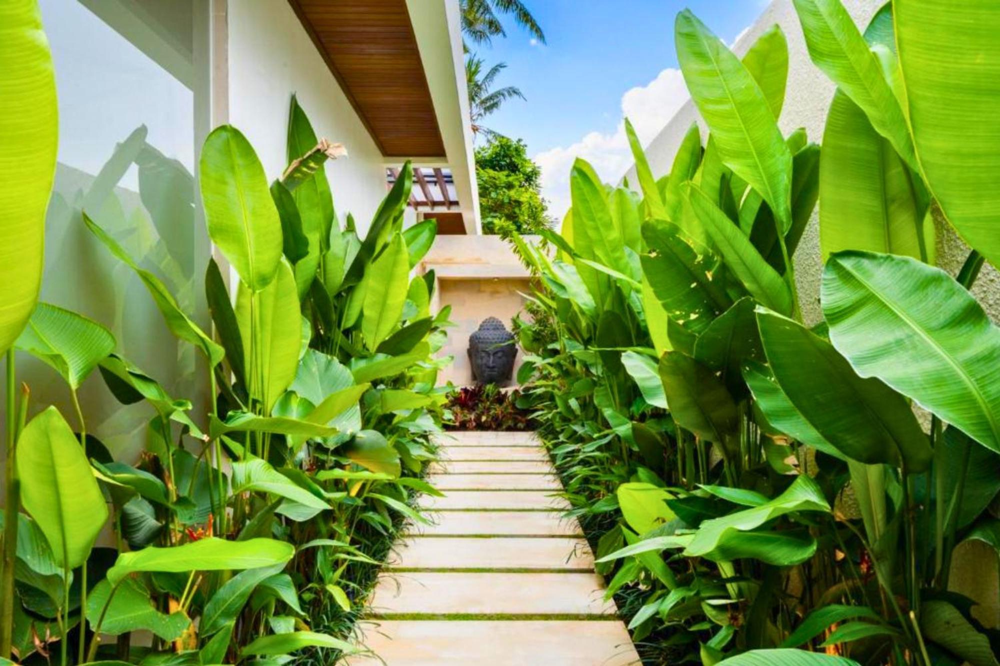Madaharsa 4 Bedroom Private Pool Zn203 Villa
