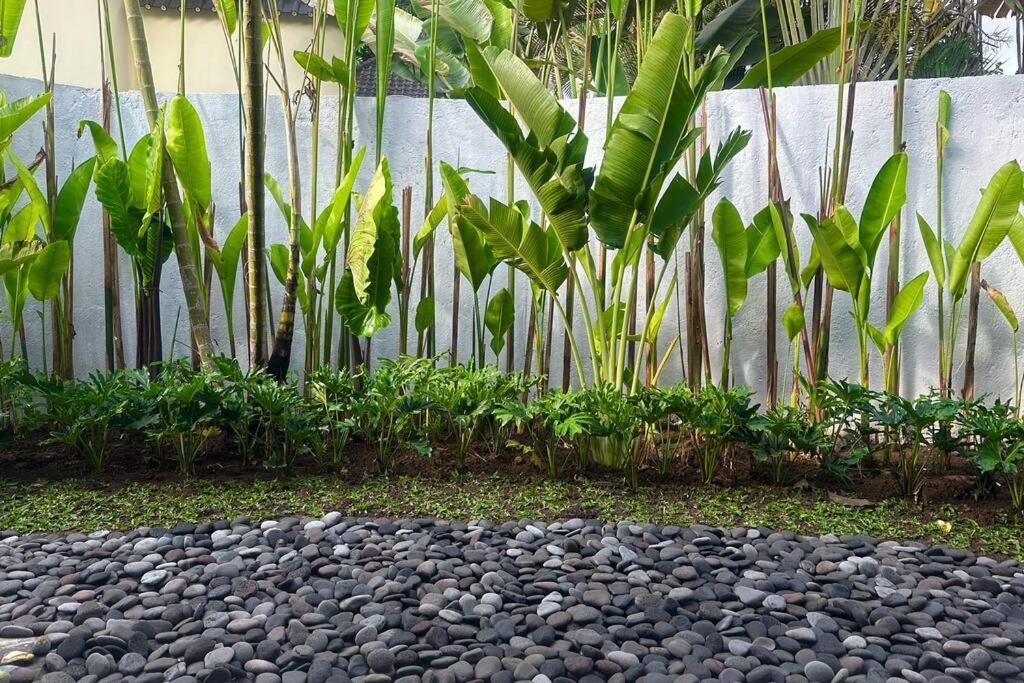 Natural And Peaceful Sentosa Villa Ubud (Bali)