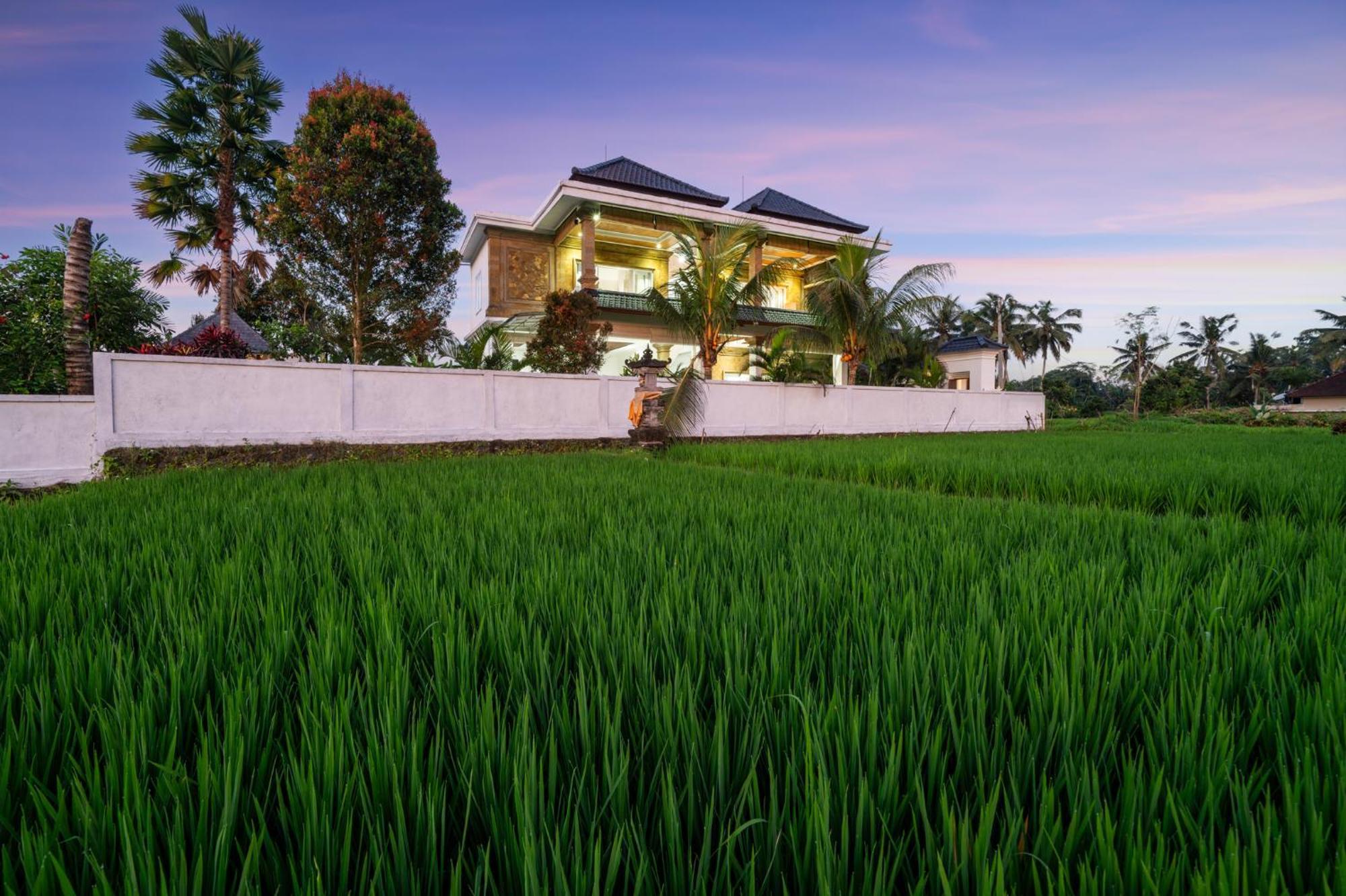 Villa Didori Art - Serene View Of And Sunset