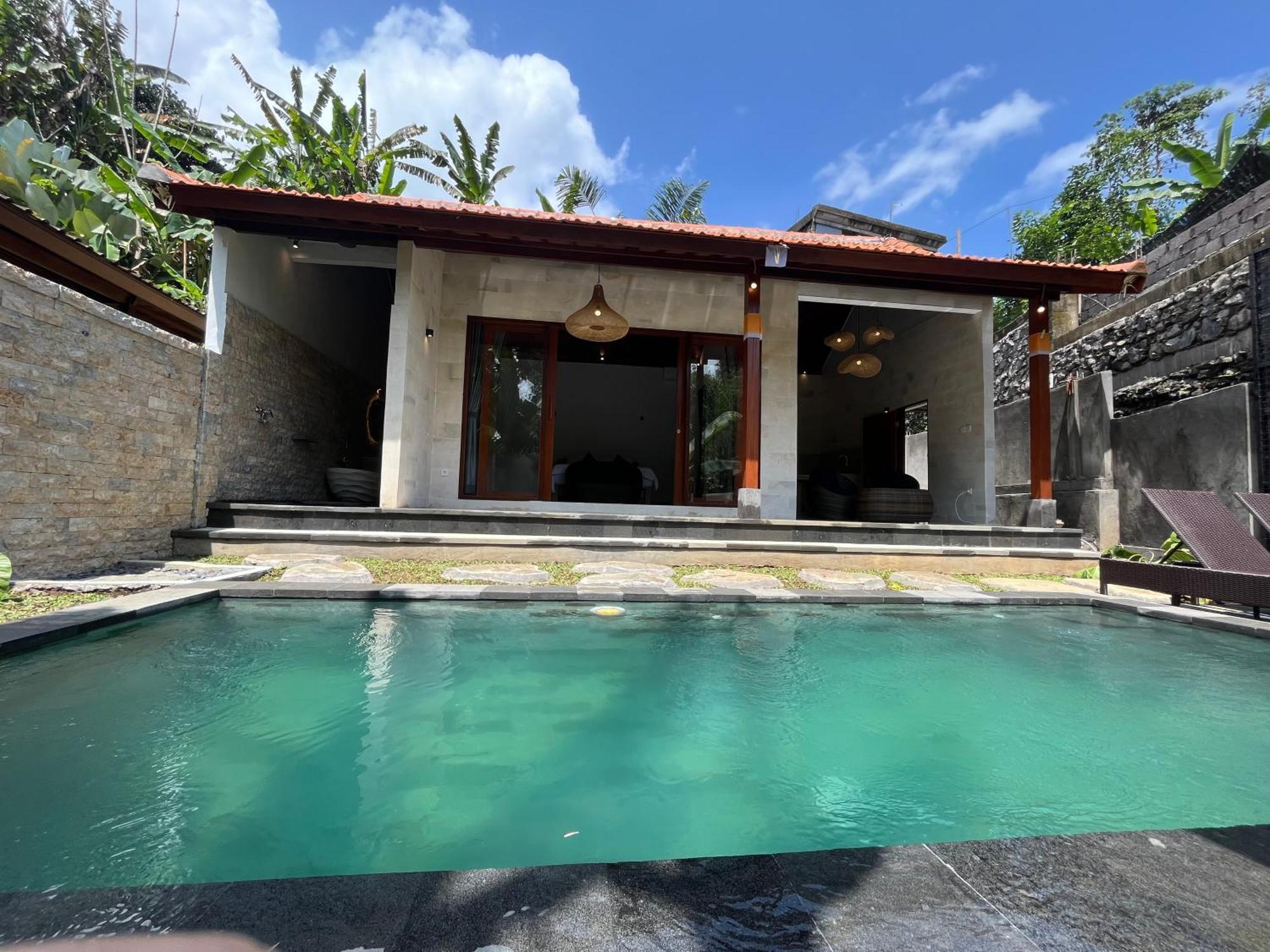 Pis Bolong House