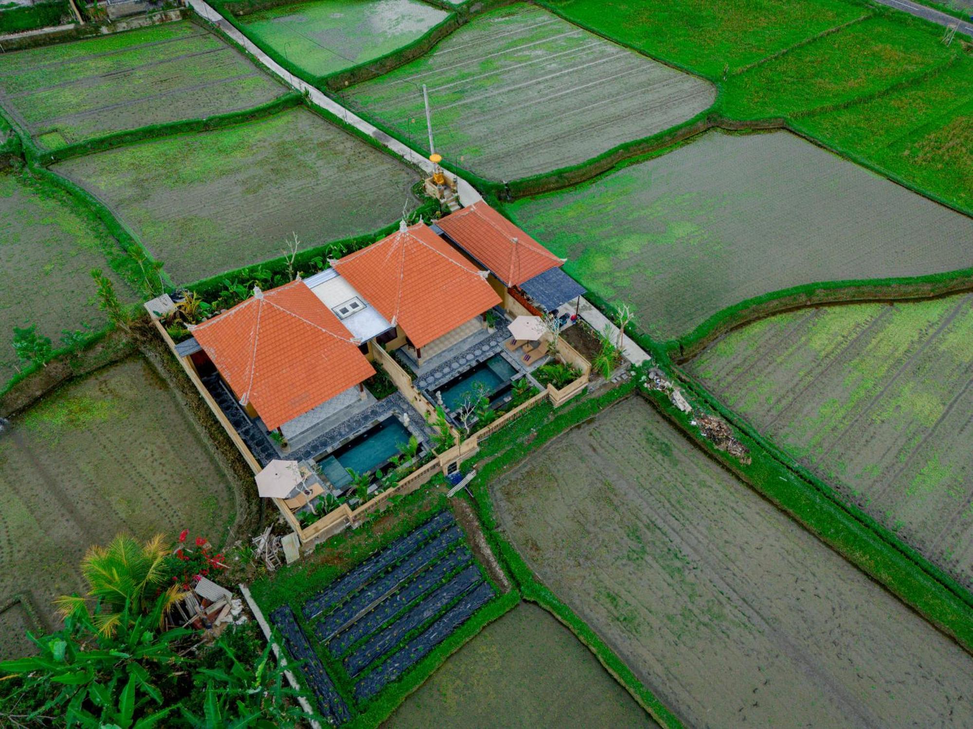 Umesari Sebatu By Uniquecations Villa *