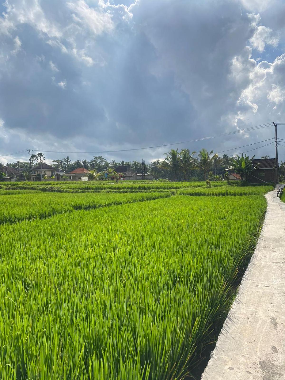 Antira Private Ubud (Bali)