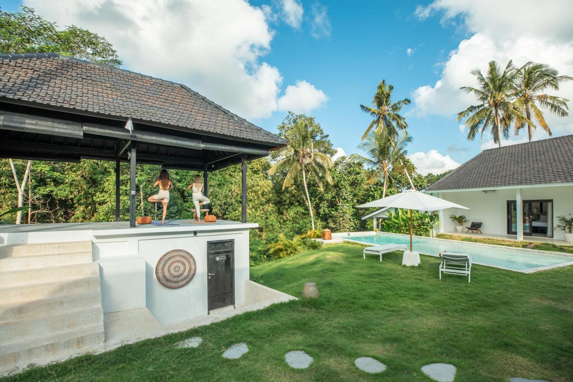 Bos Bali * Ubud (Bali)