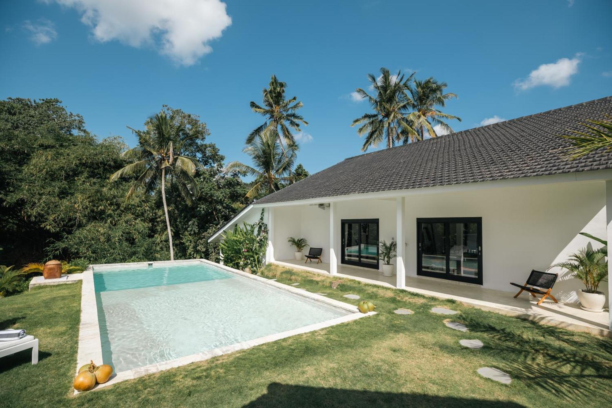 Bos Bali