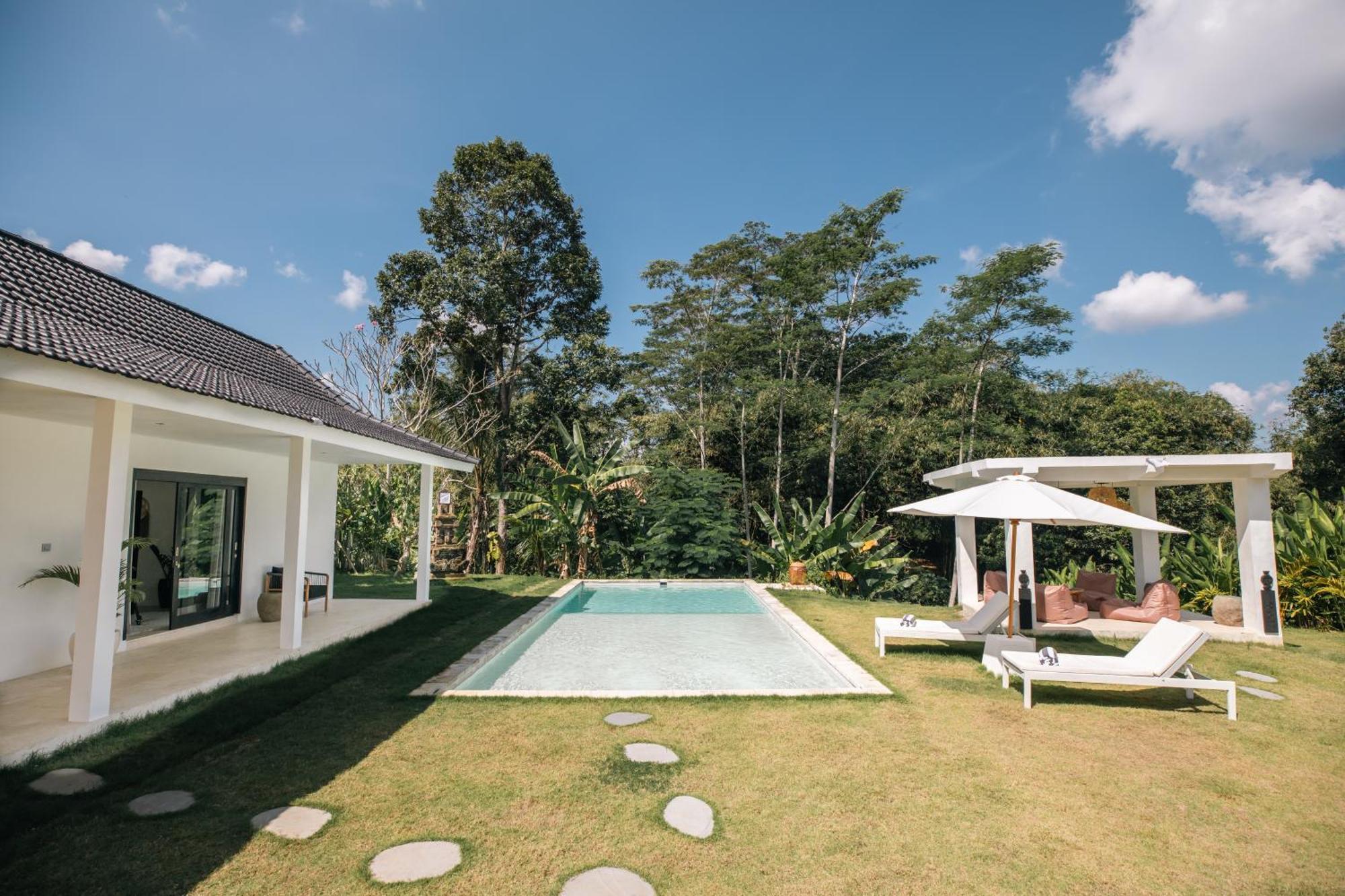 Bos Bali