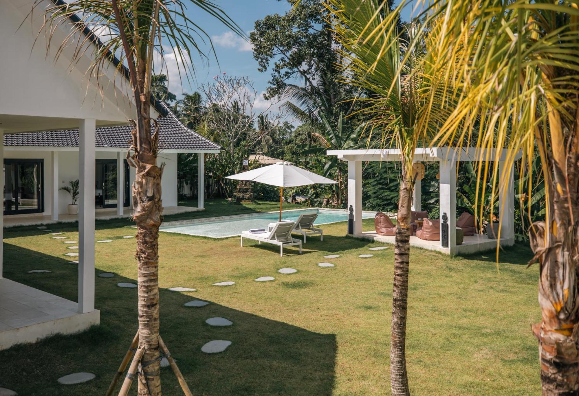 Bos Bali