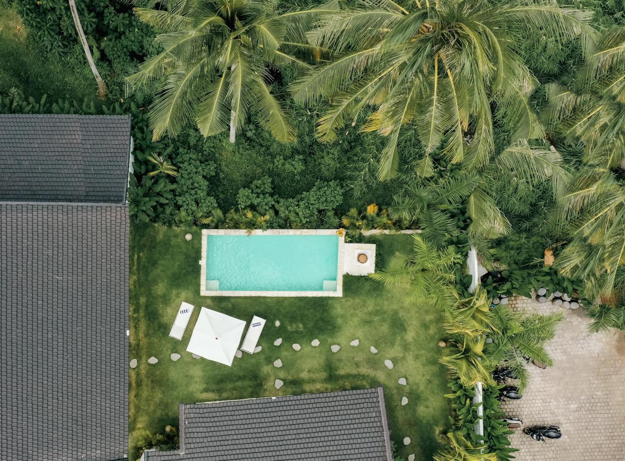 Bos Bali * Ubud (Bali)