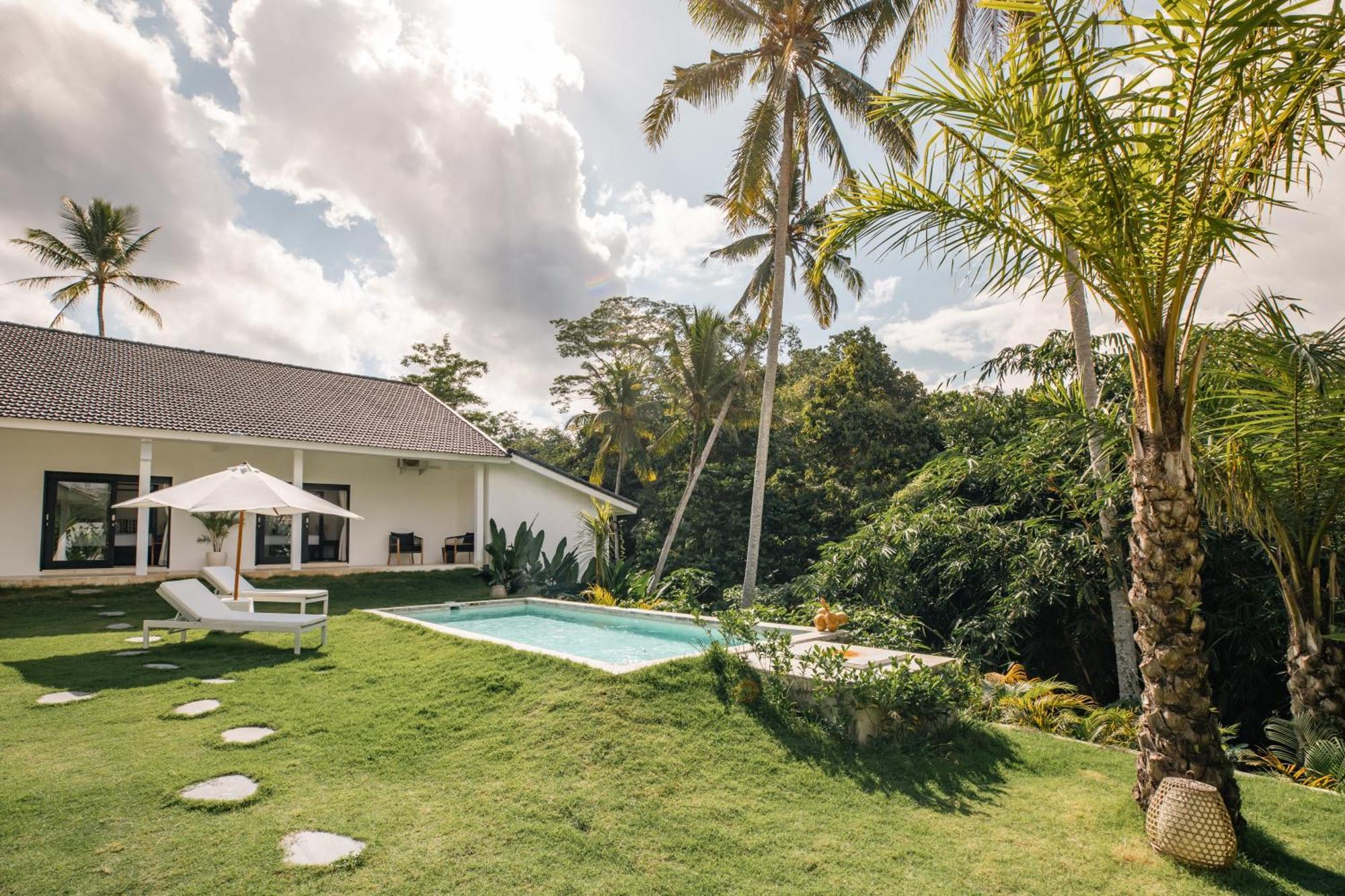 Bos Bali