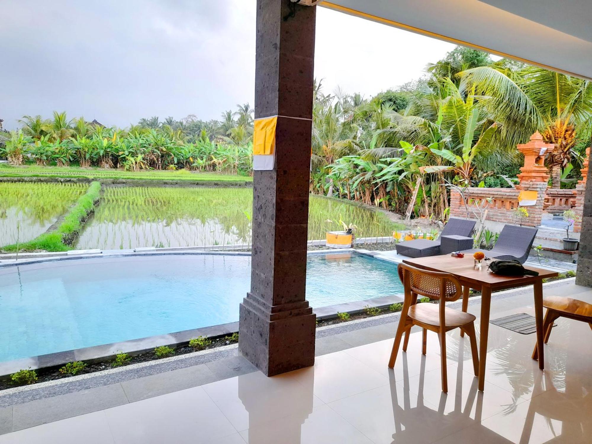 Mesari Rice Paddy Ubud (Bali)