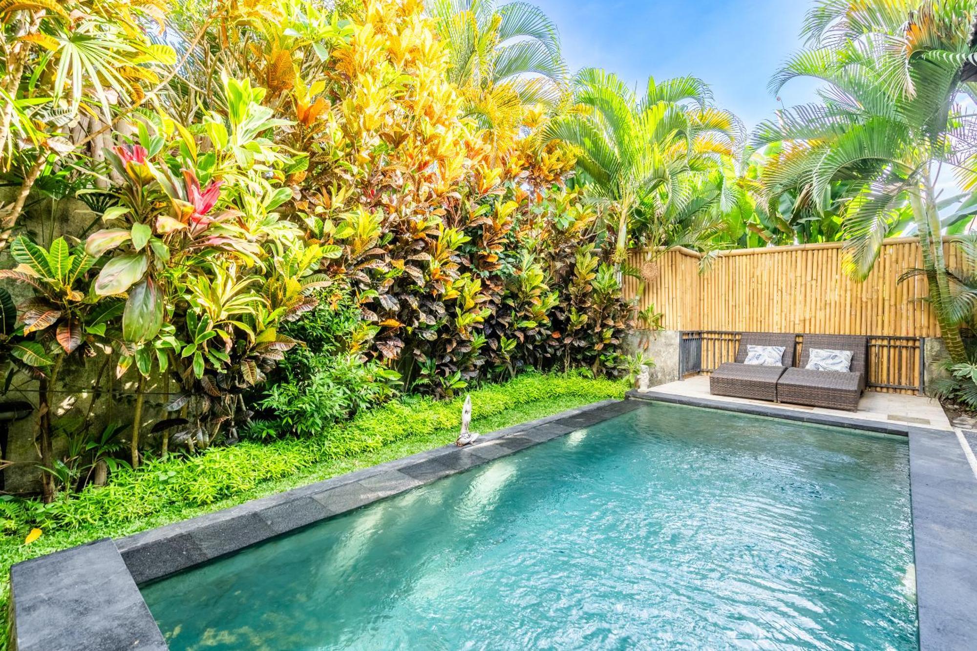 Olinda * Ubud (Bali)