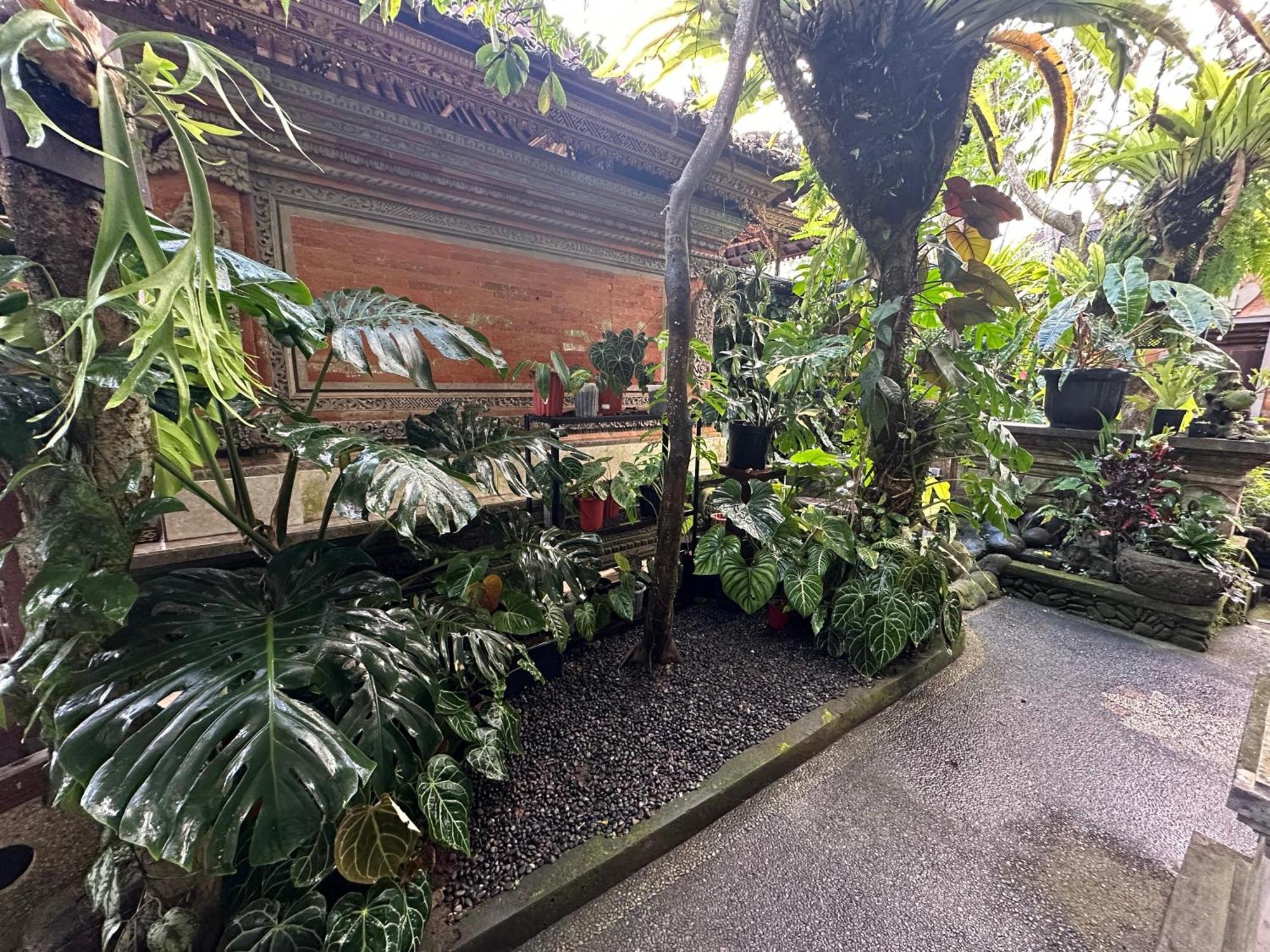 Naeera * Ubud (Bali)