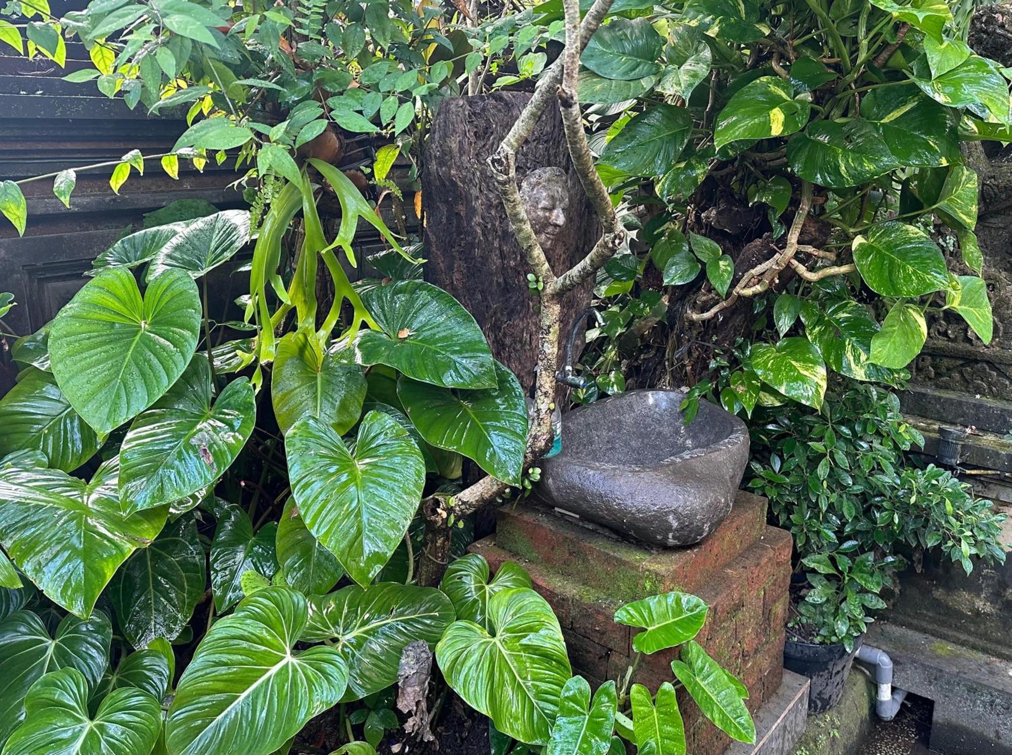 Naeera Guest house