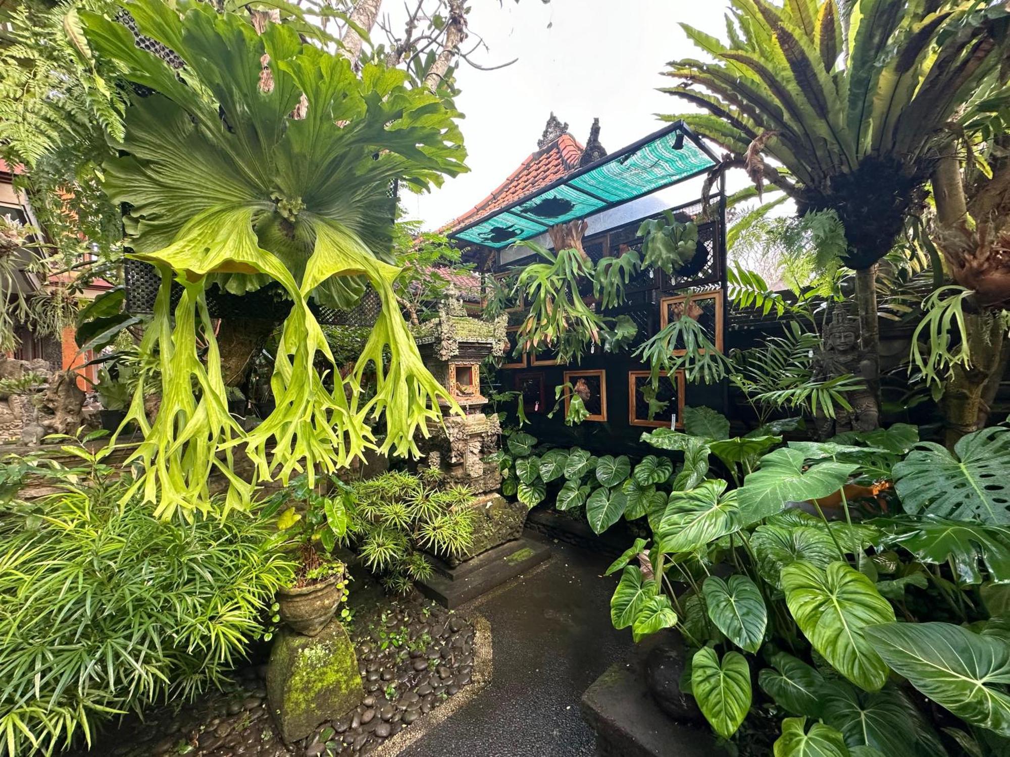 Guest house Naeera