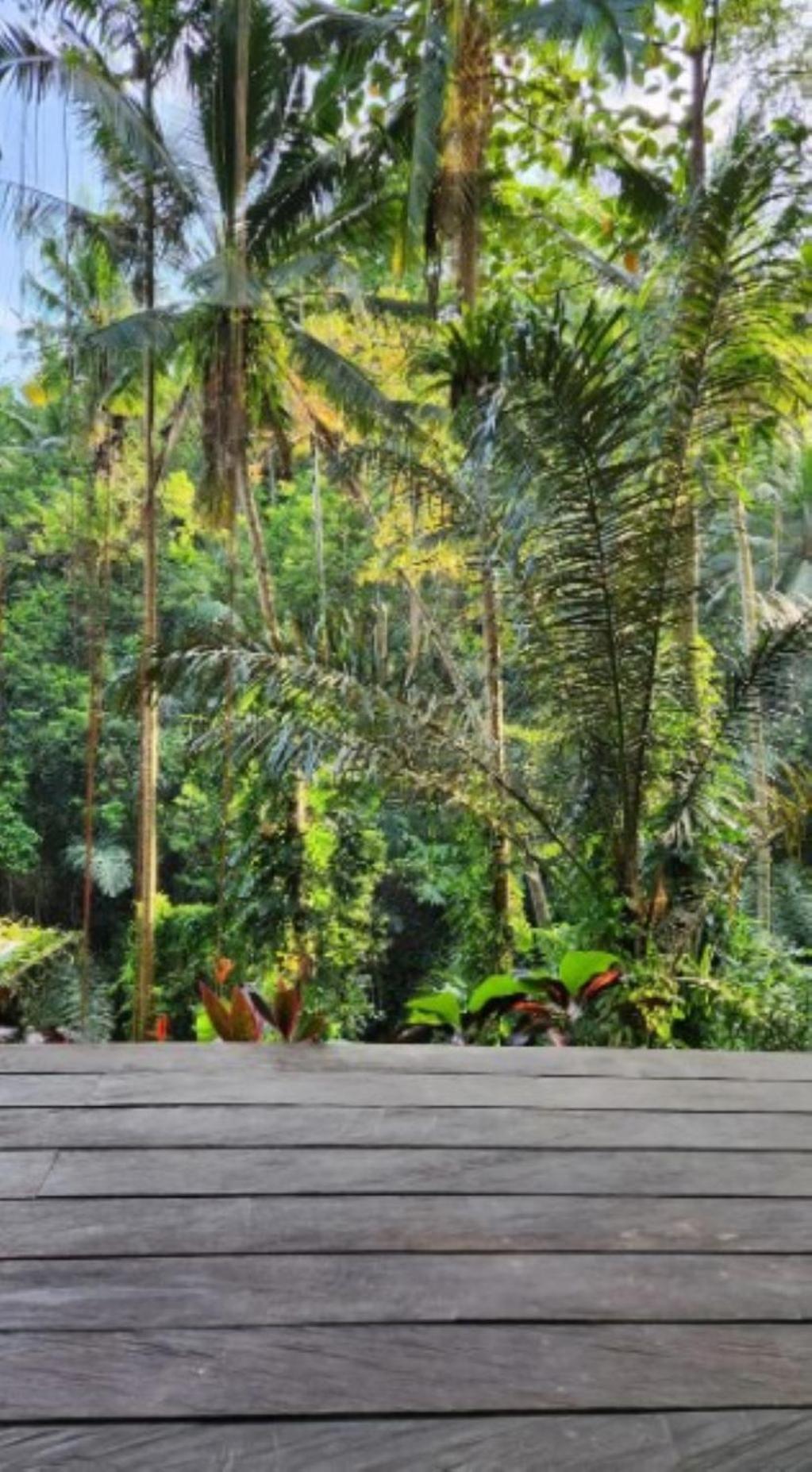 Villa Sacred River & Jungle
