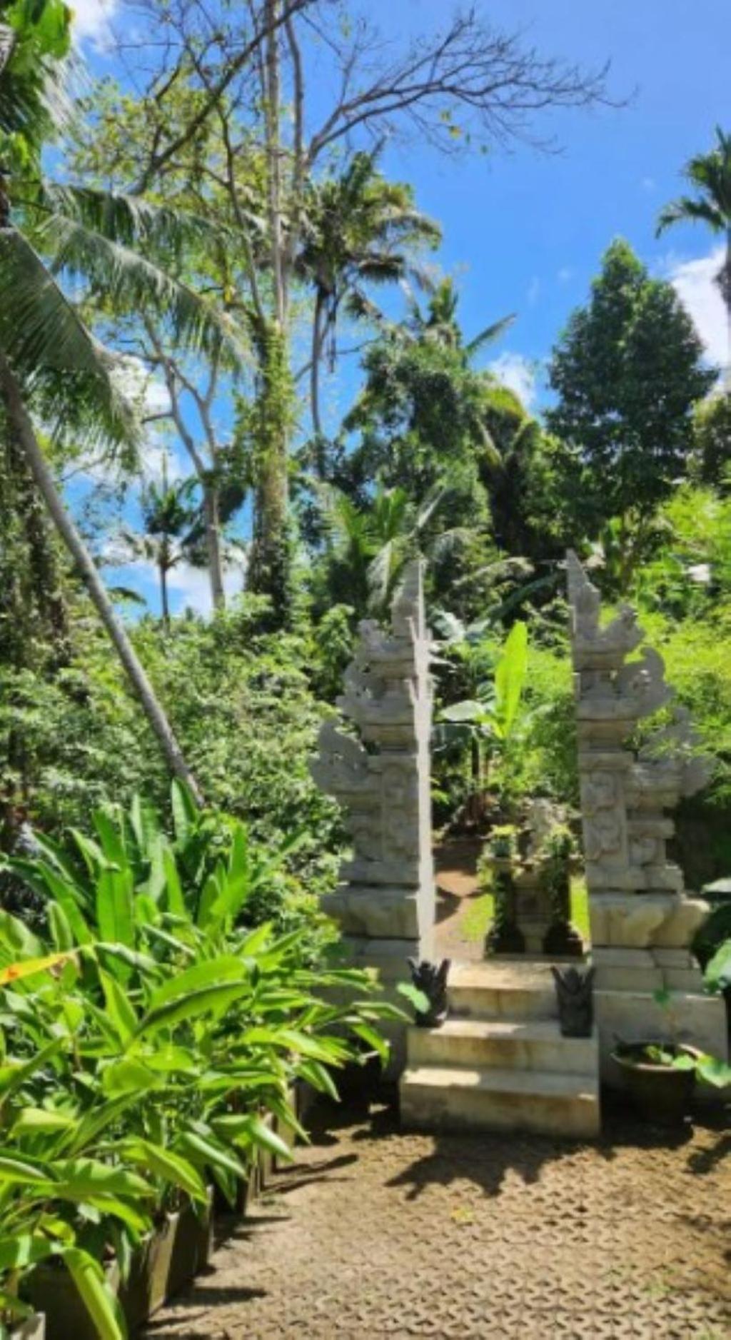 Sacred River & Jungle