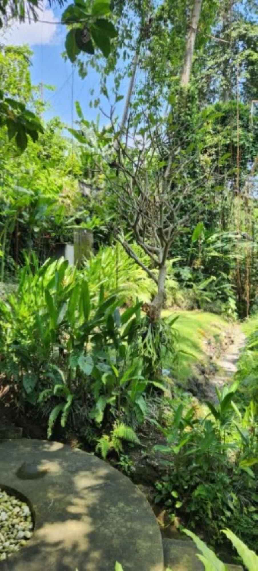 Sacred River & Jungle Villa *