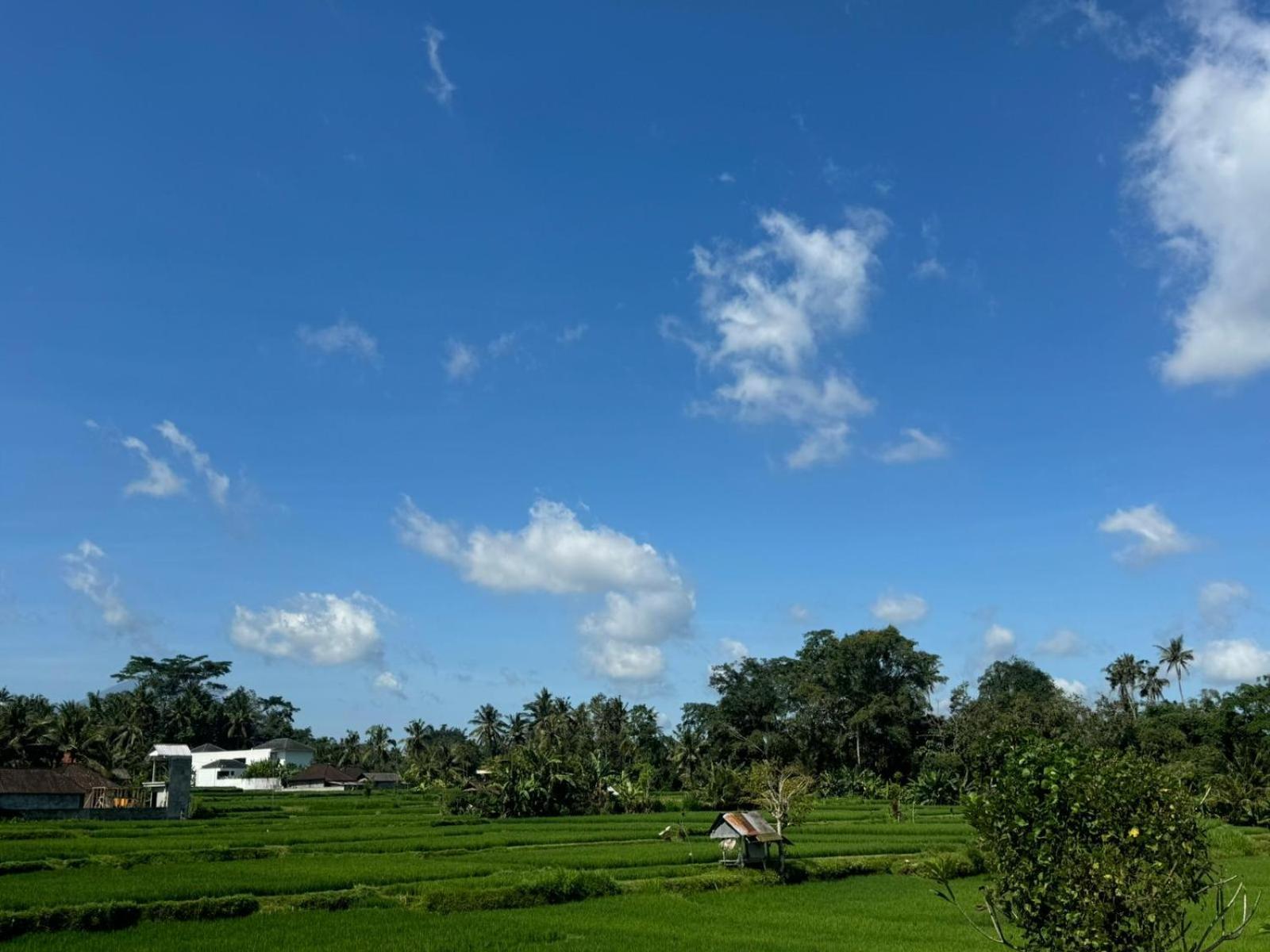 Uma Dadi * Ubud (Bali)
