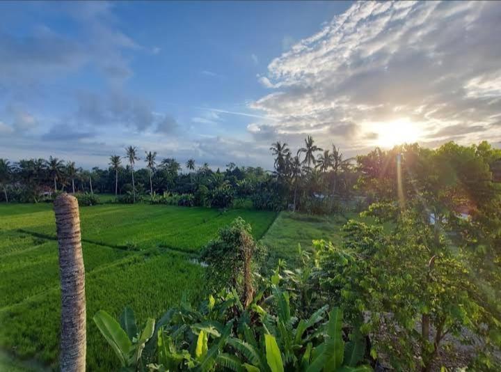 Puri Anyar Homestay