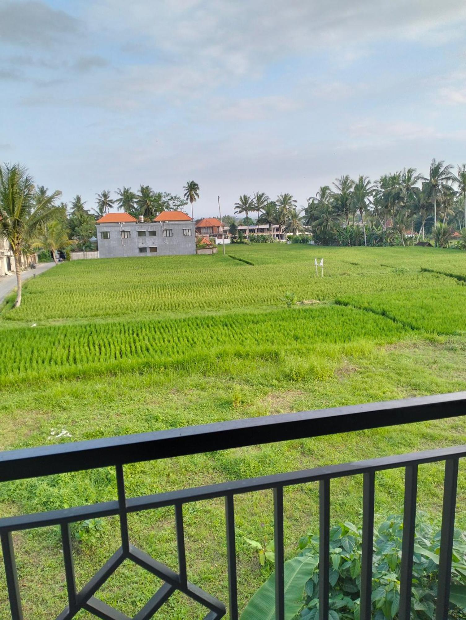Puri Anyar * Ubud (Bali)