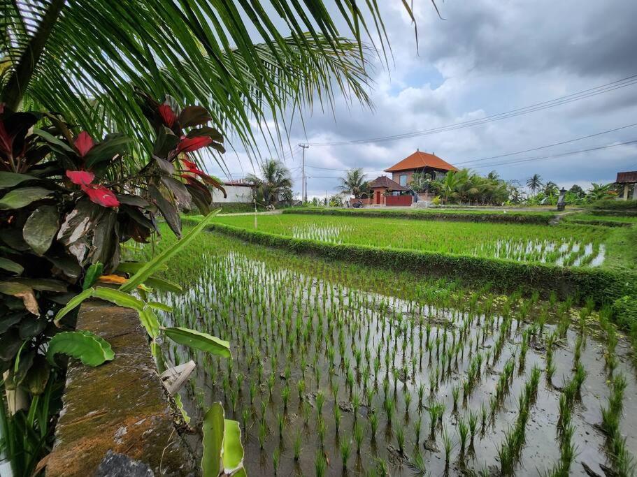 2 Private With 2 Pools For Larger Families Or Group Get Togethers * Ubud (Bali)