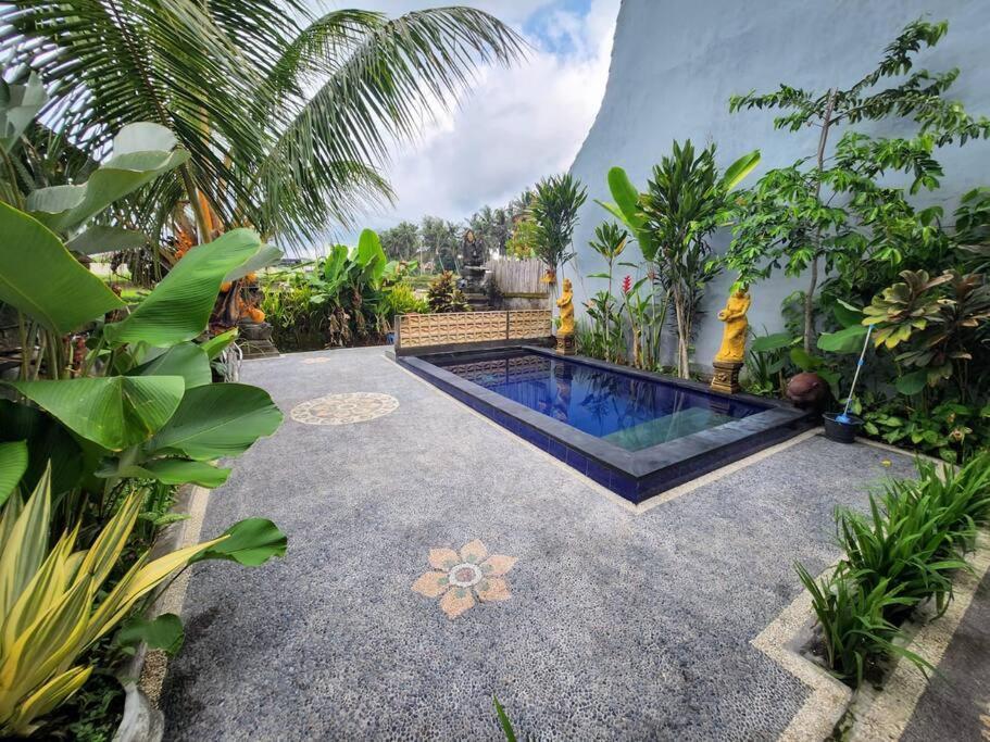 2 Private With 2 Pools For Larger Families Or Group Get Togethers