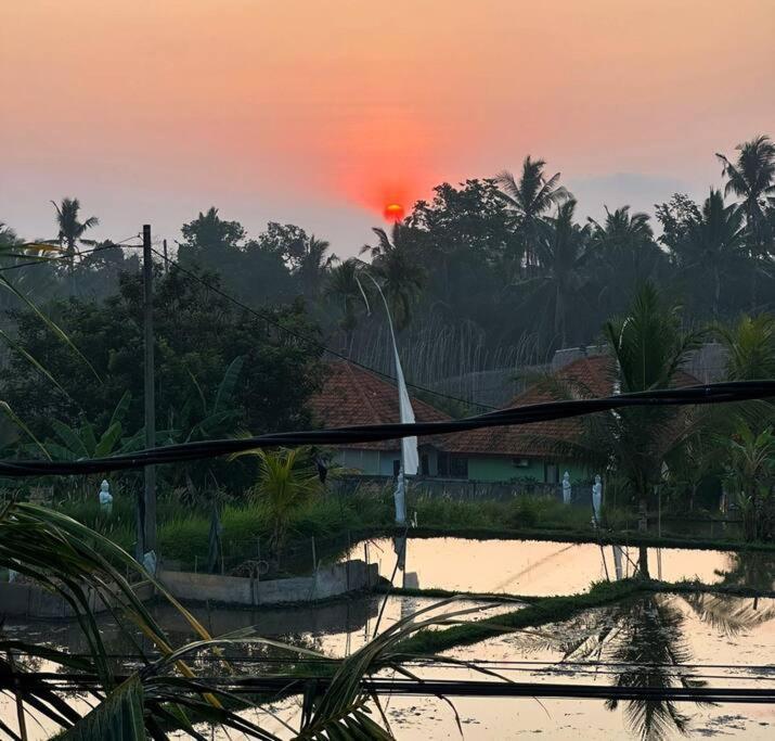 2 Private With 2 Pools For Larger Families Or Group Get Togethers Villa Ubud (Bali)
