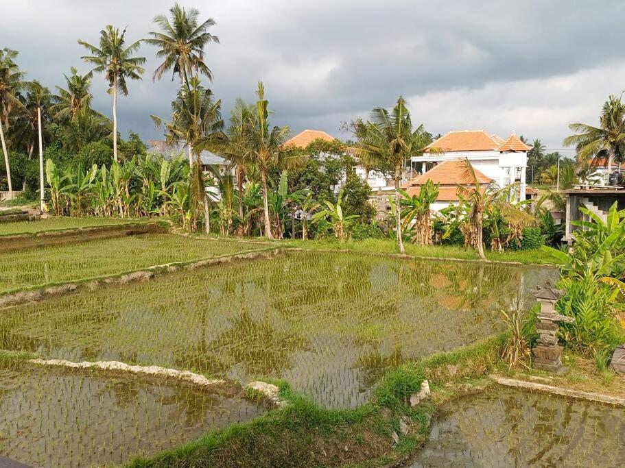 Villa 2 Private With 2 Pools For Larger Families Or Group Get Togethers *