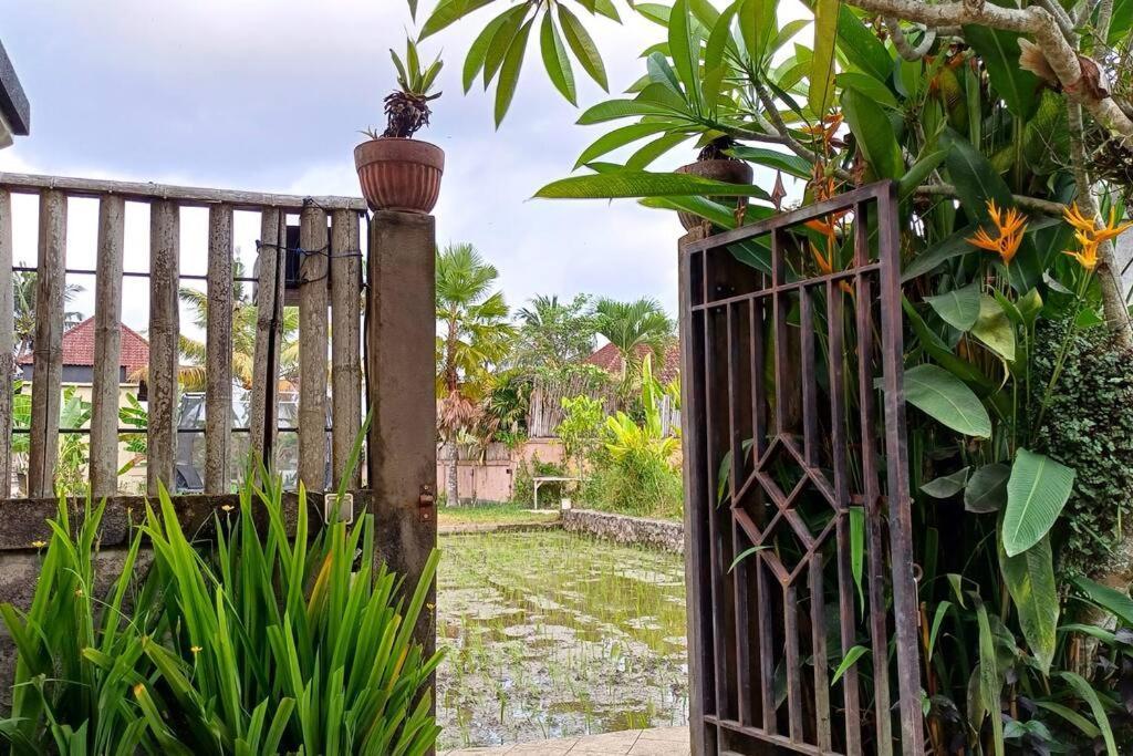 2 Private With 2 Pools For Larger Families Or Group Get Togethers Villa