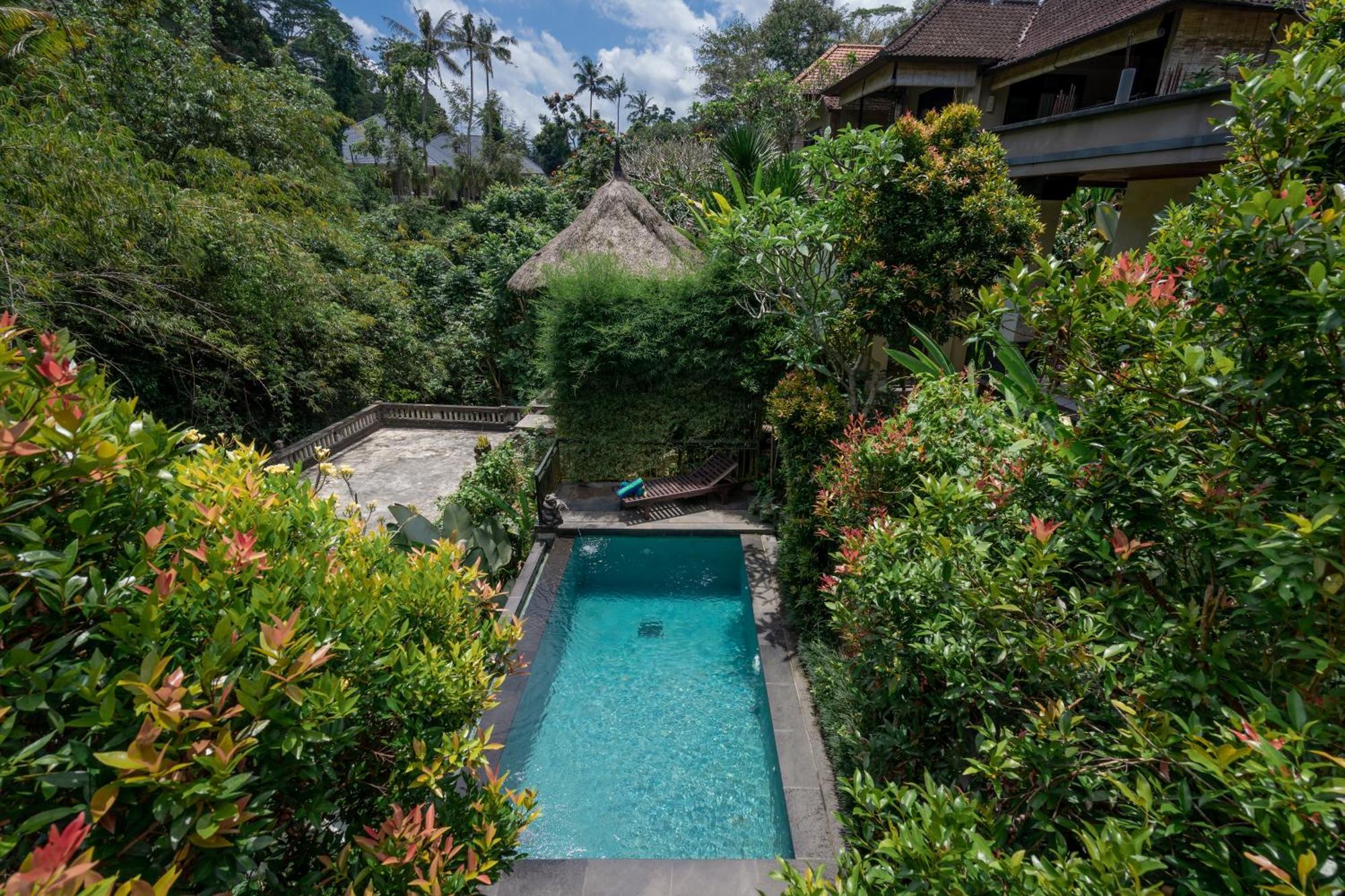 Manas Entire 2 Bedr -- Private Jungle Pool -- 5 Min Villa Ubud (Bali)